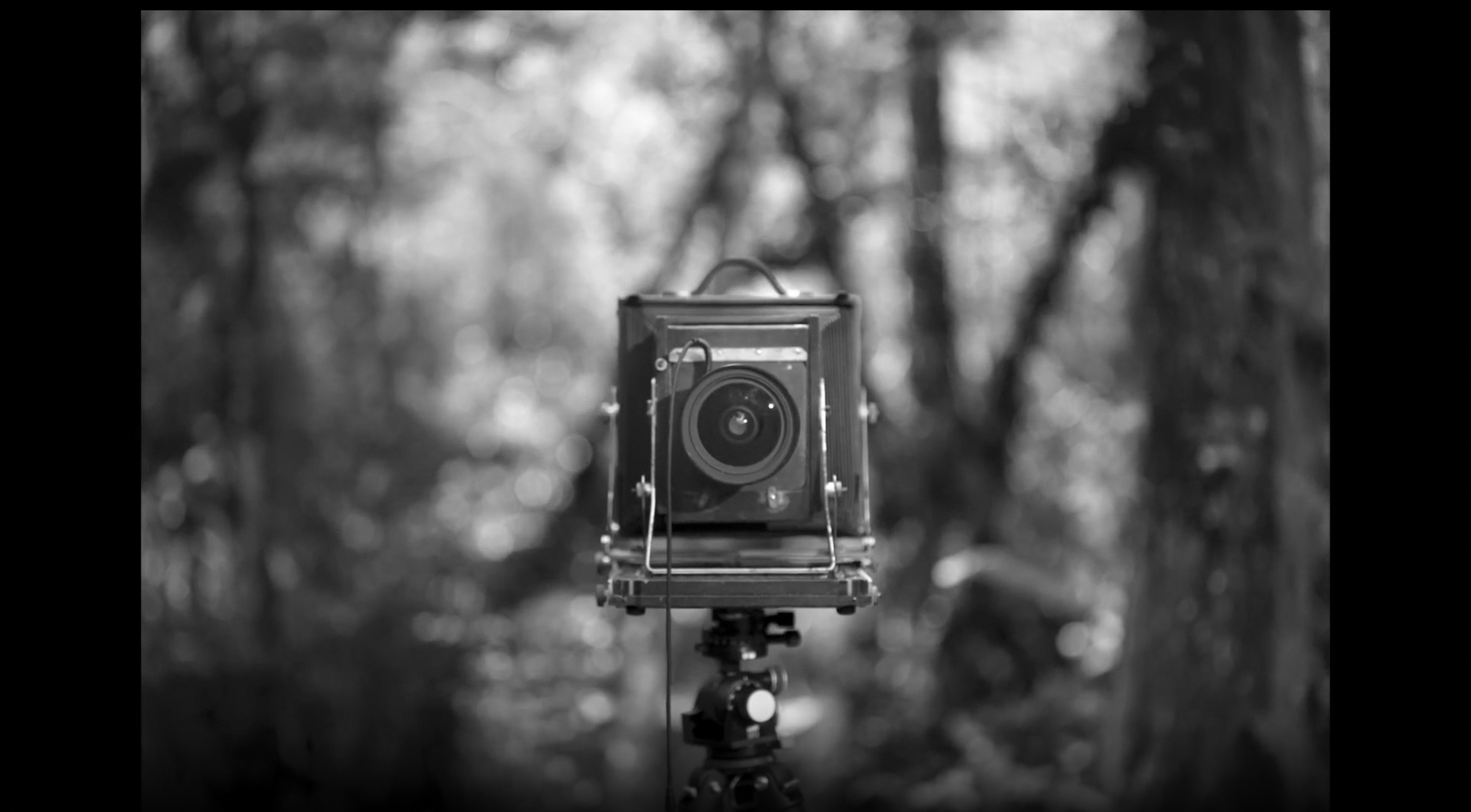 The Economics of Commercial Video Marketing in LA