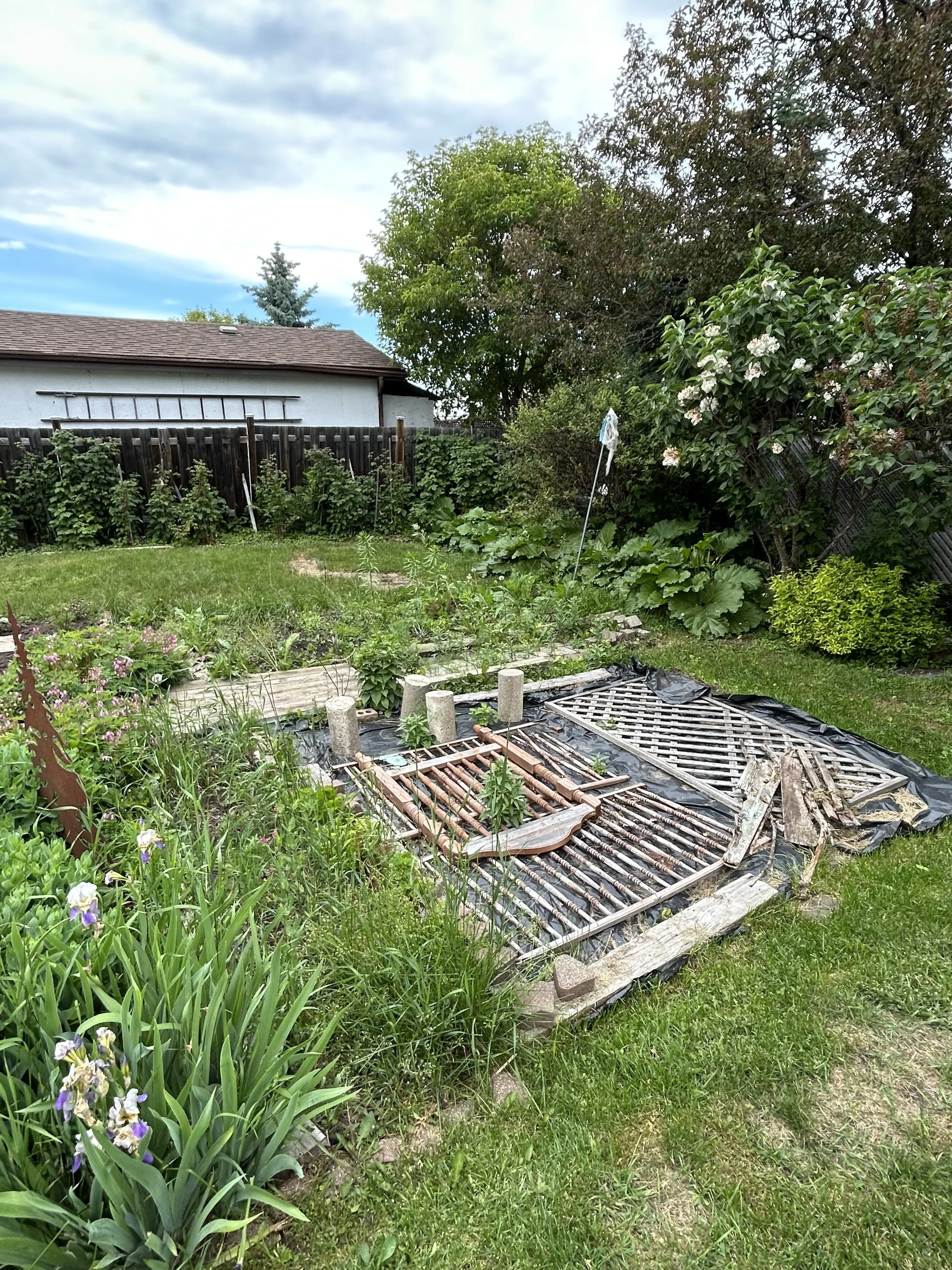 Backyard before landscaping