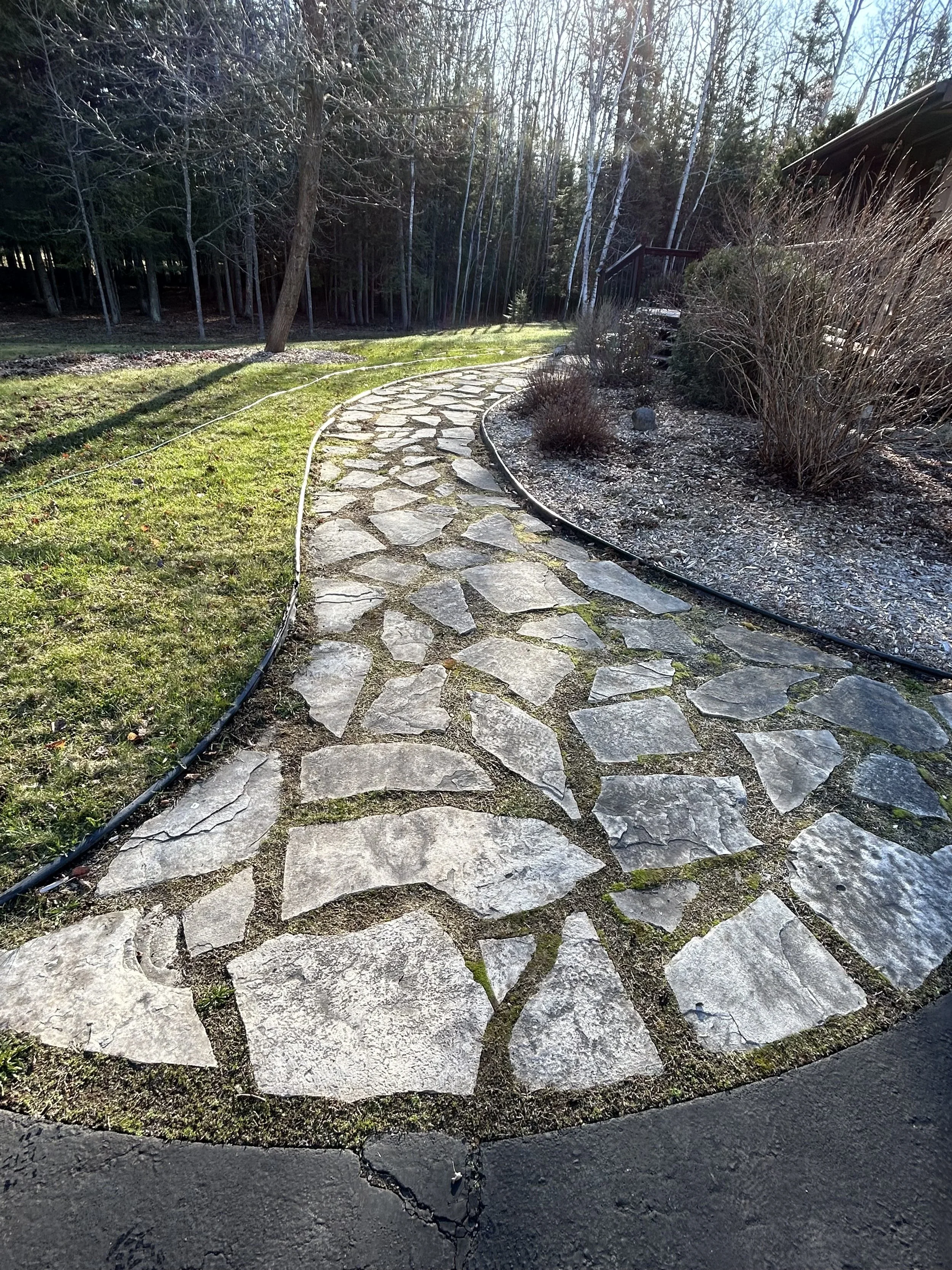 Old overgrown walkway before