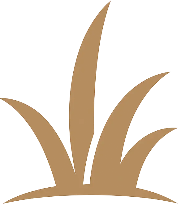 Lawn Care Thunder Bay