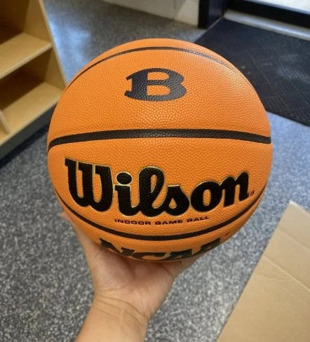 Wilson EVO Basketballs