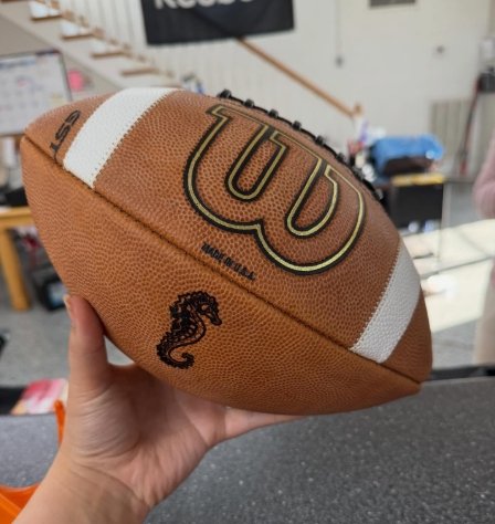Wilson Game Footballs