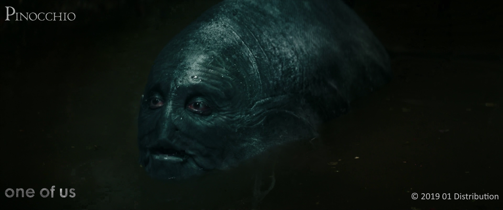 pinocchio_2023-10-09-11h28m26s649.png