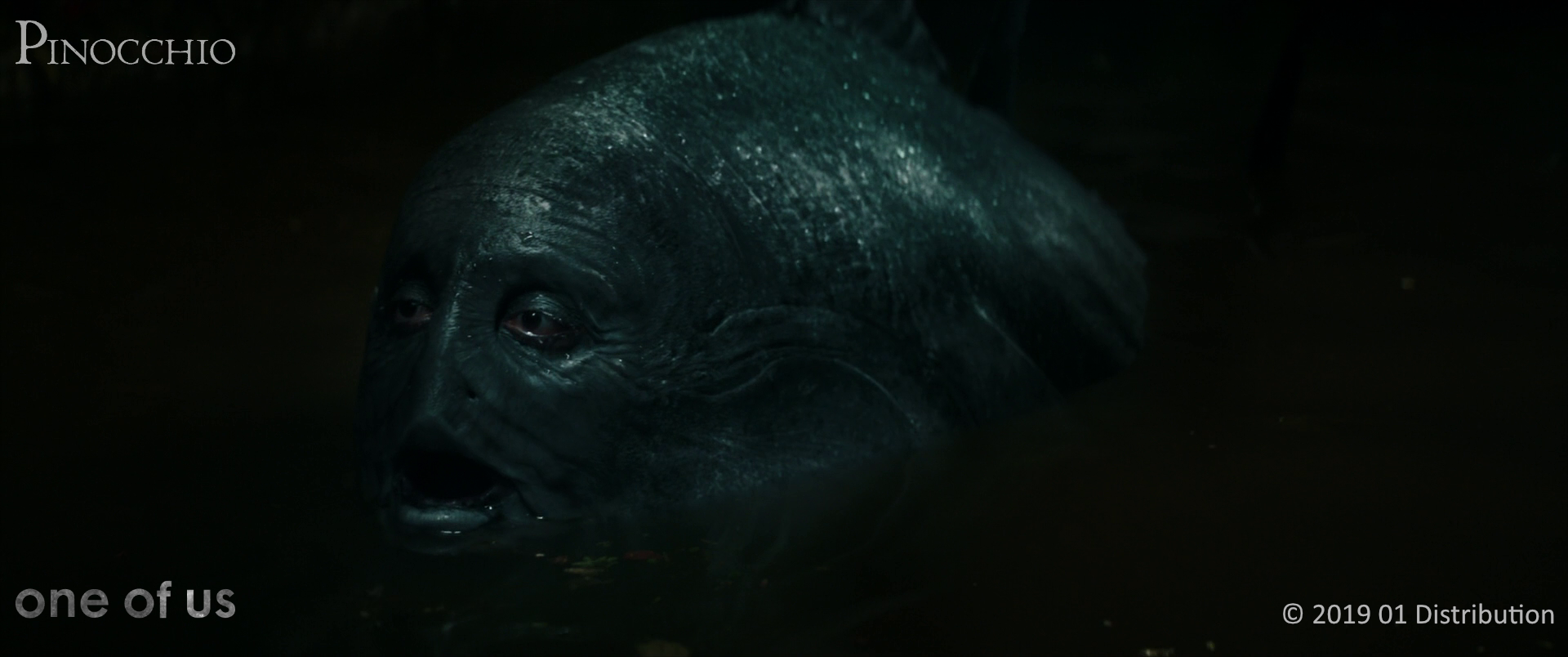pinocchio_2023-10-09-11h28m07s472.png