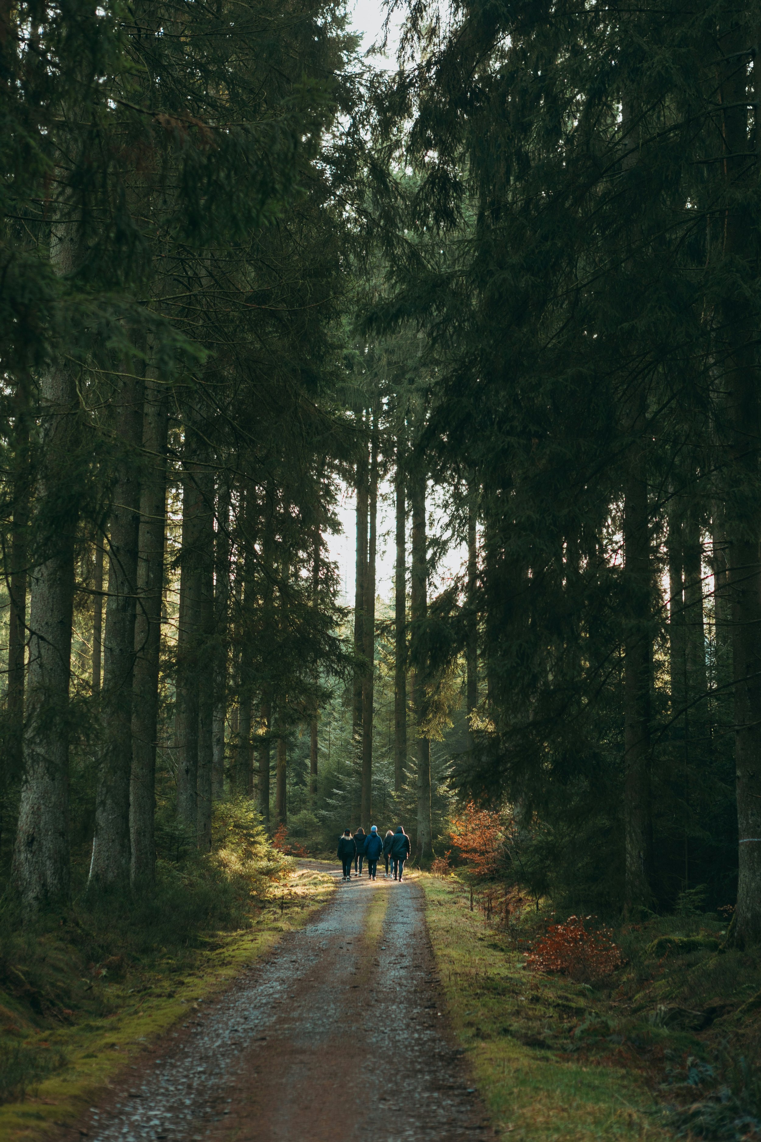 Life with God – Together Forever