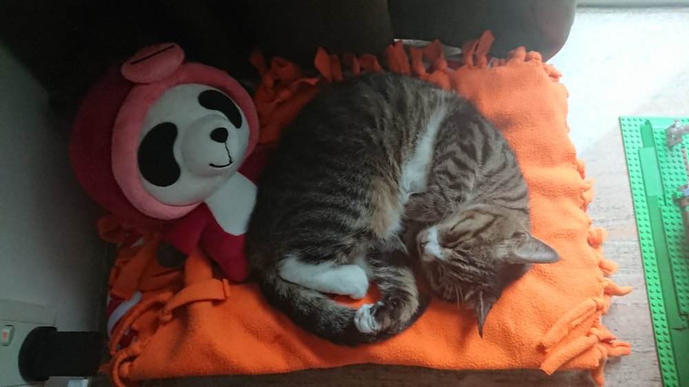 The famous Jyn Circle (Copy)