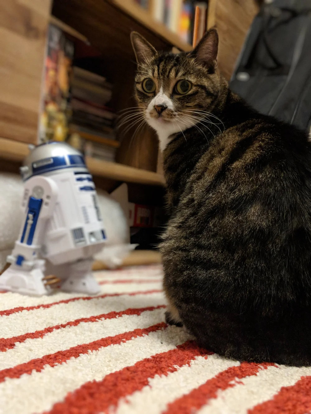 Jyn B &amp; R2D2 (Copy)