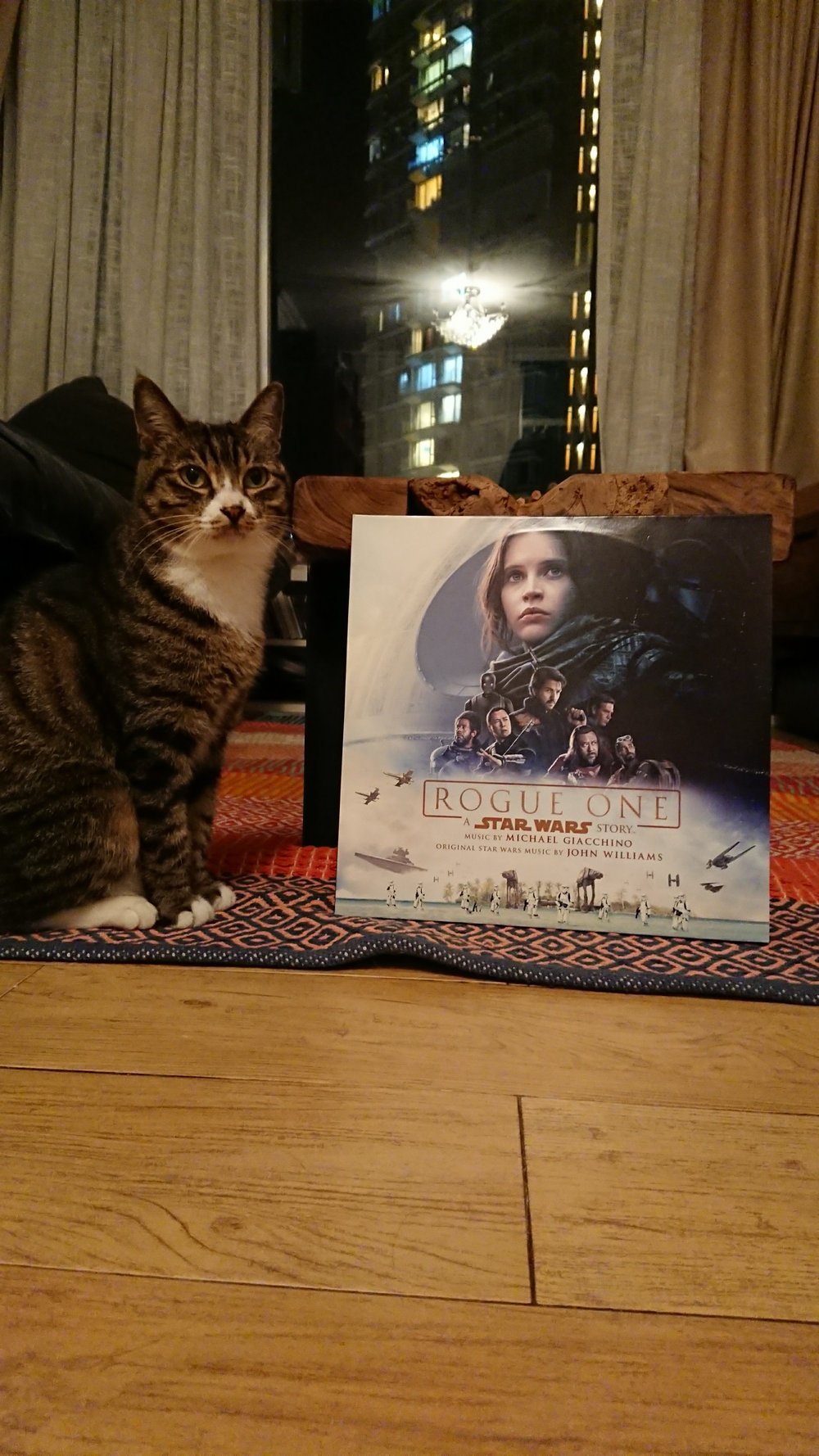 Jyn &amp; Jyn (Copy)