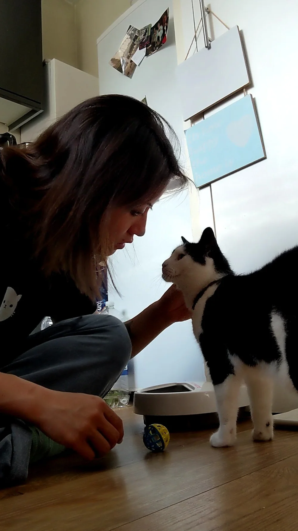 Bow to Pixie the Queen