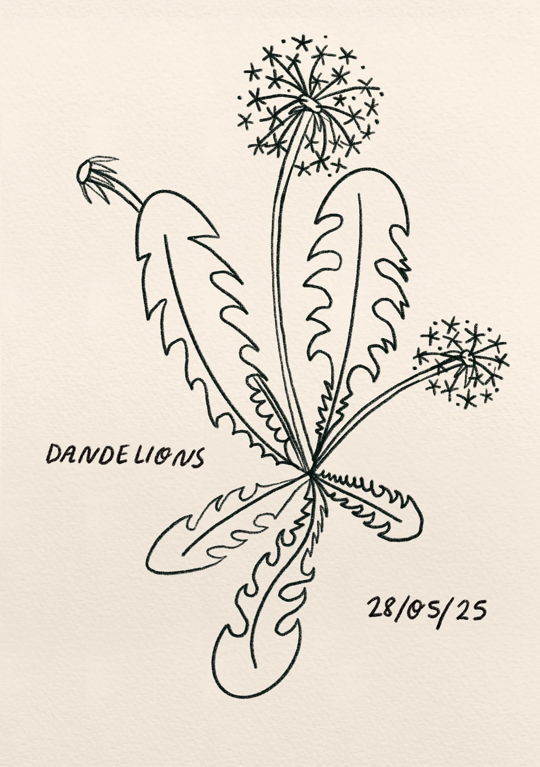 Daily sketchbook - my visual diary