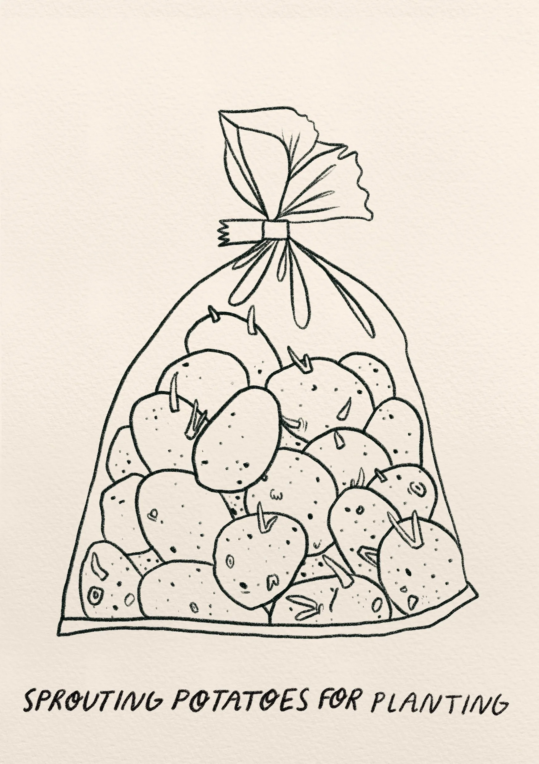 Daily sketchbook - my visual diary