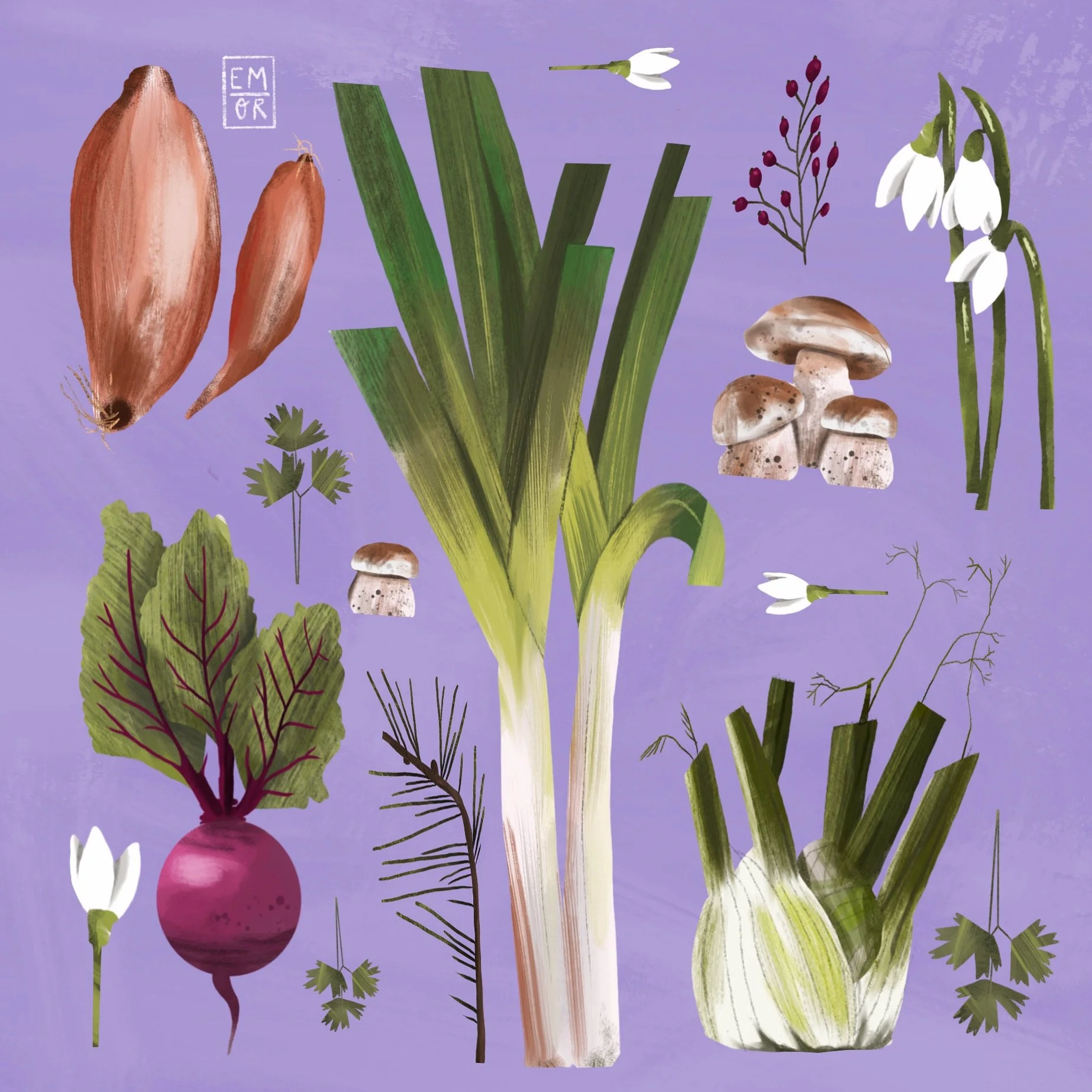 January seasonal eating calendar - digital illustration 2024