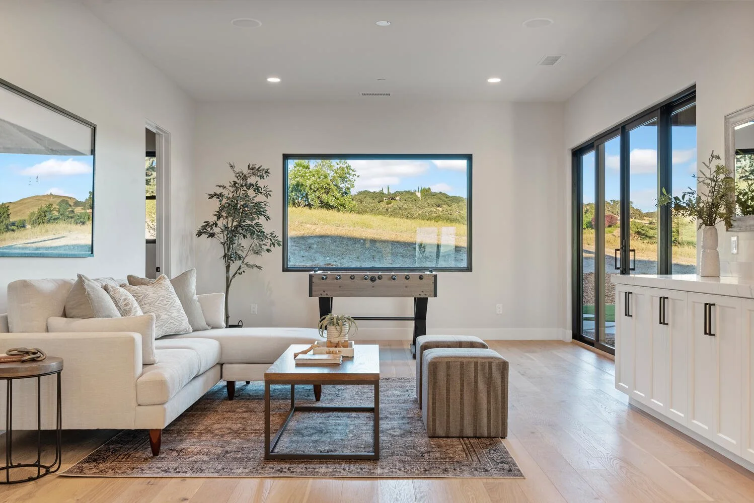 1529 Burnt Rock Way Templeton-large-017-072-Bonus Room-1498x1000-72dpi.jpg