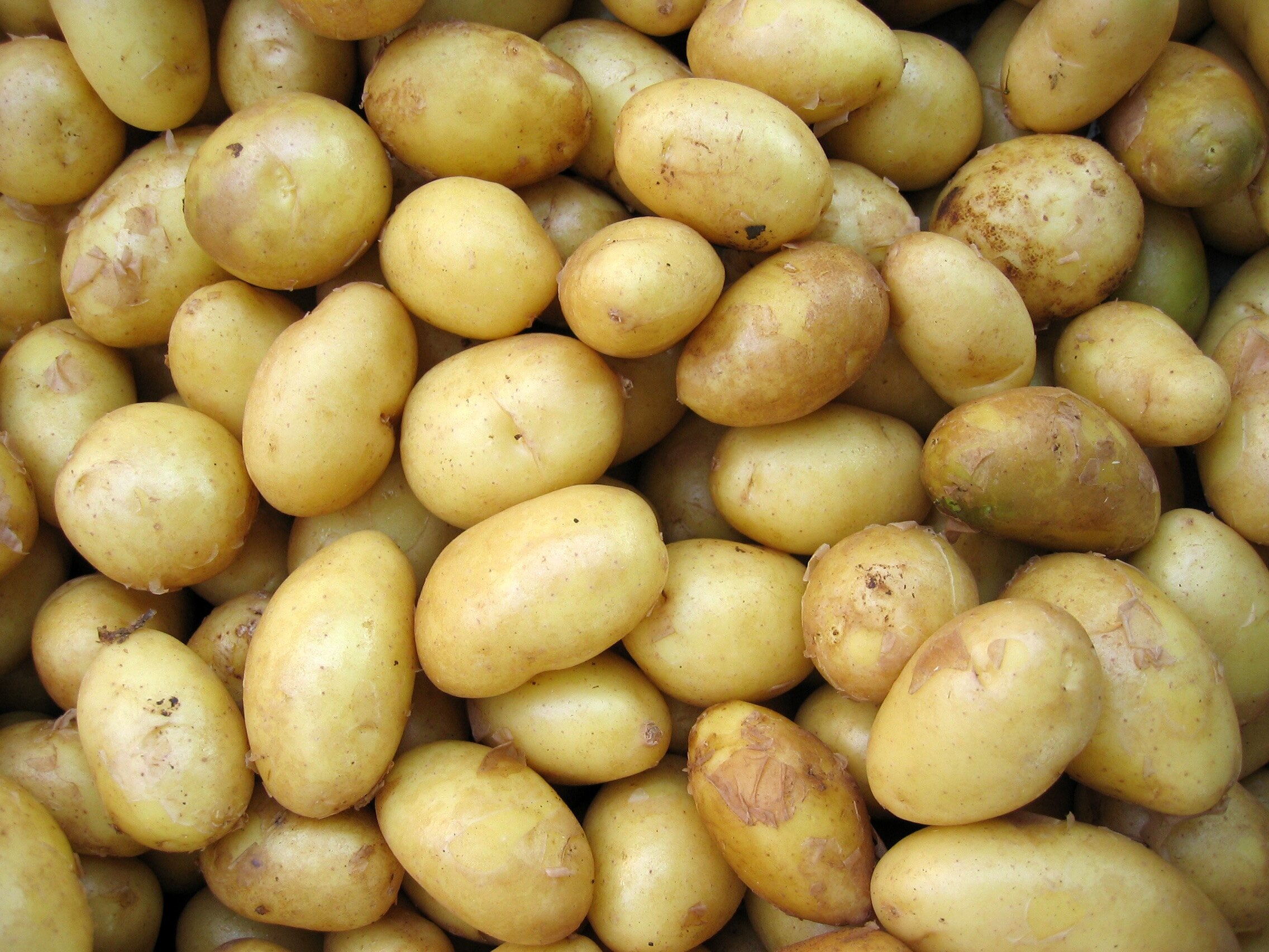 10. Potatoes (all kinds!)