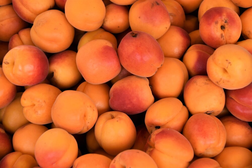 1. Apricots