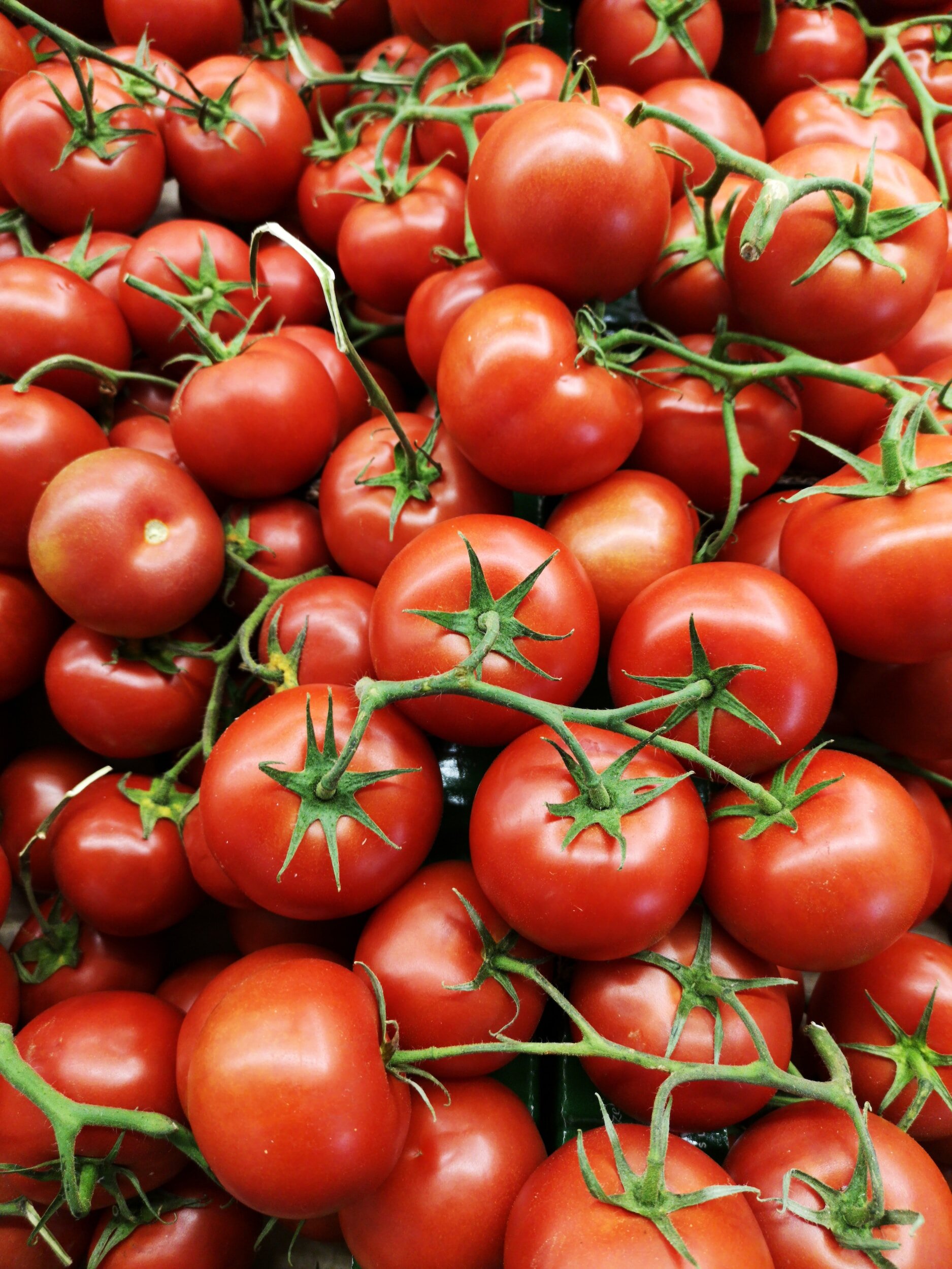 14. Tomatoes