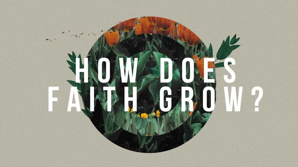 Fireside Church fireside-church