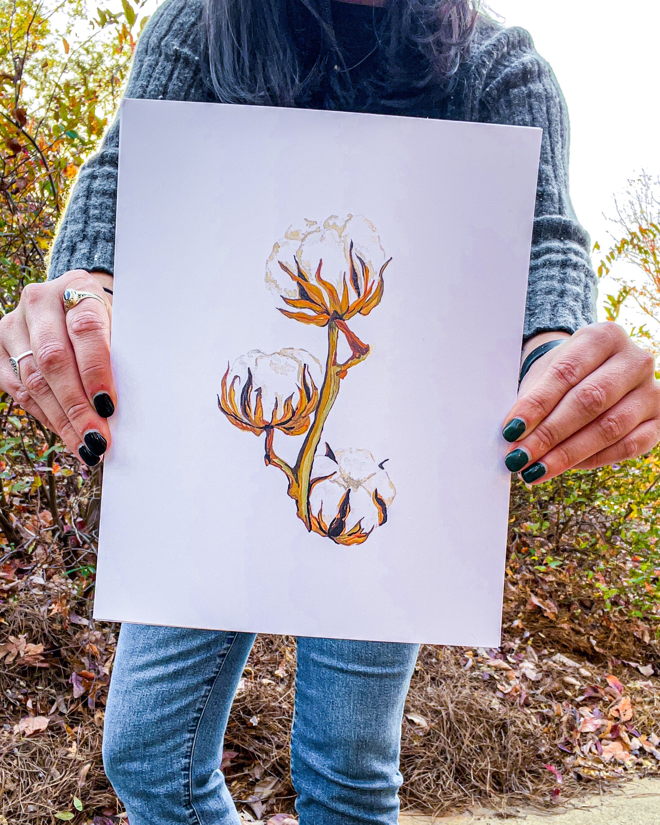 Cotton Sprig Fine Art Print