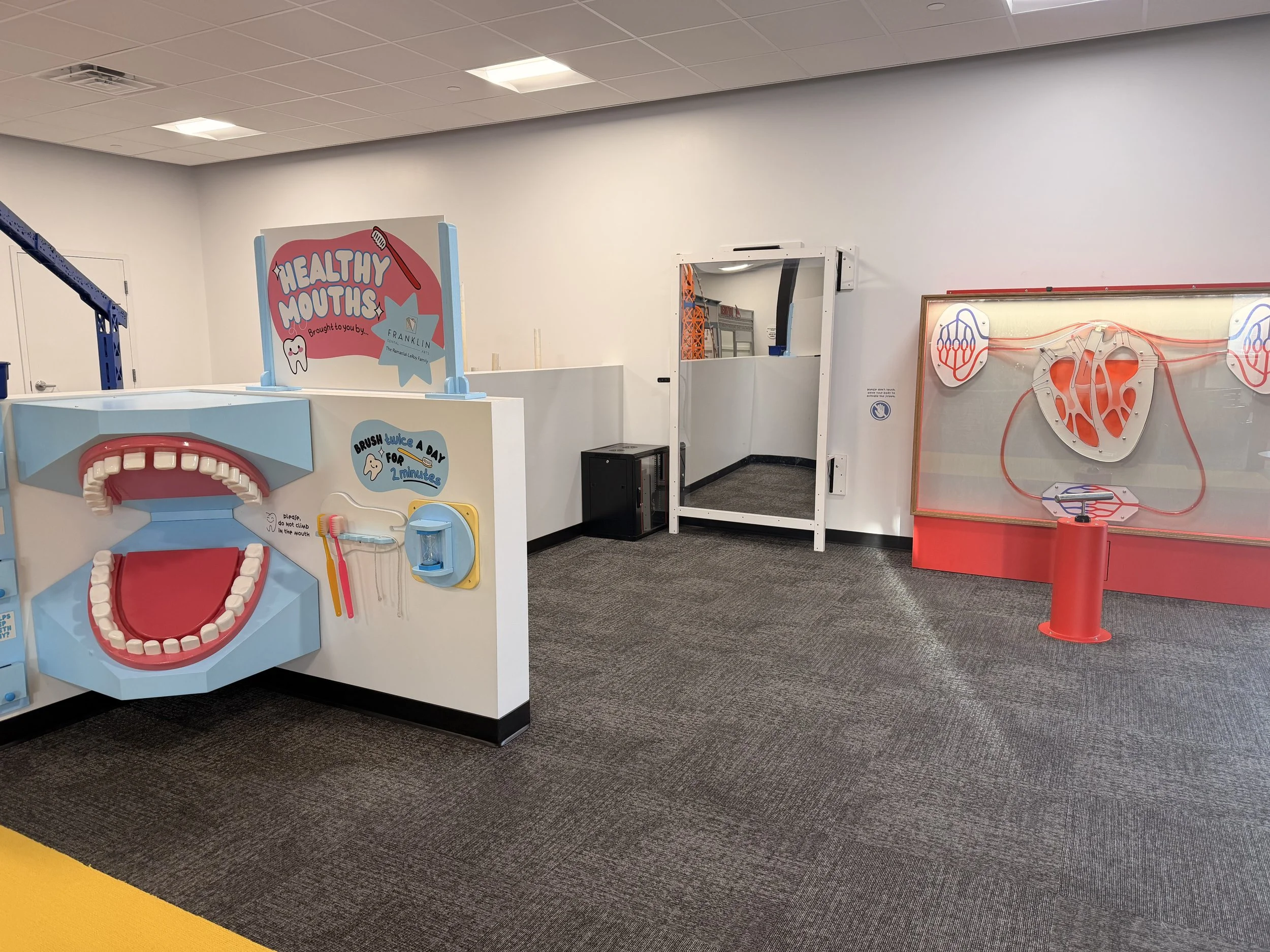 Healthy bodies exhibit area