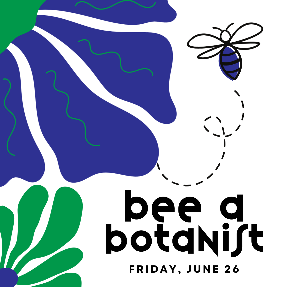 Bee a Botanist Program