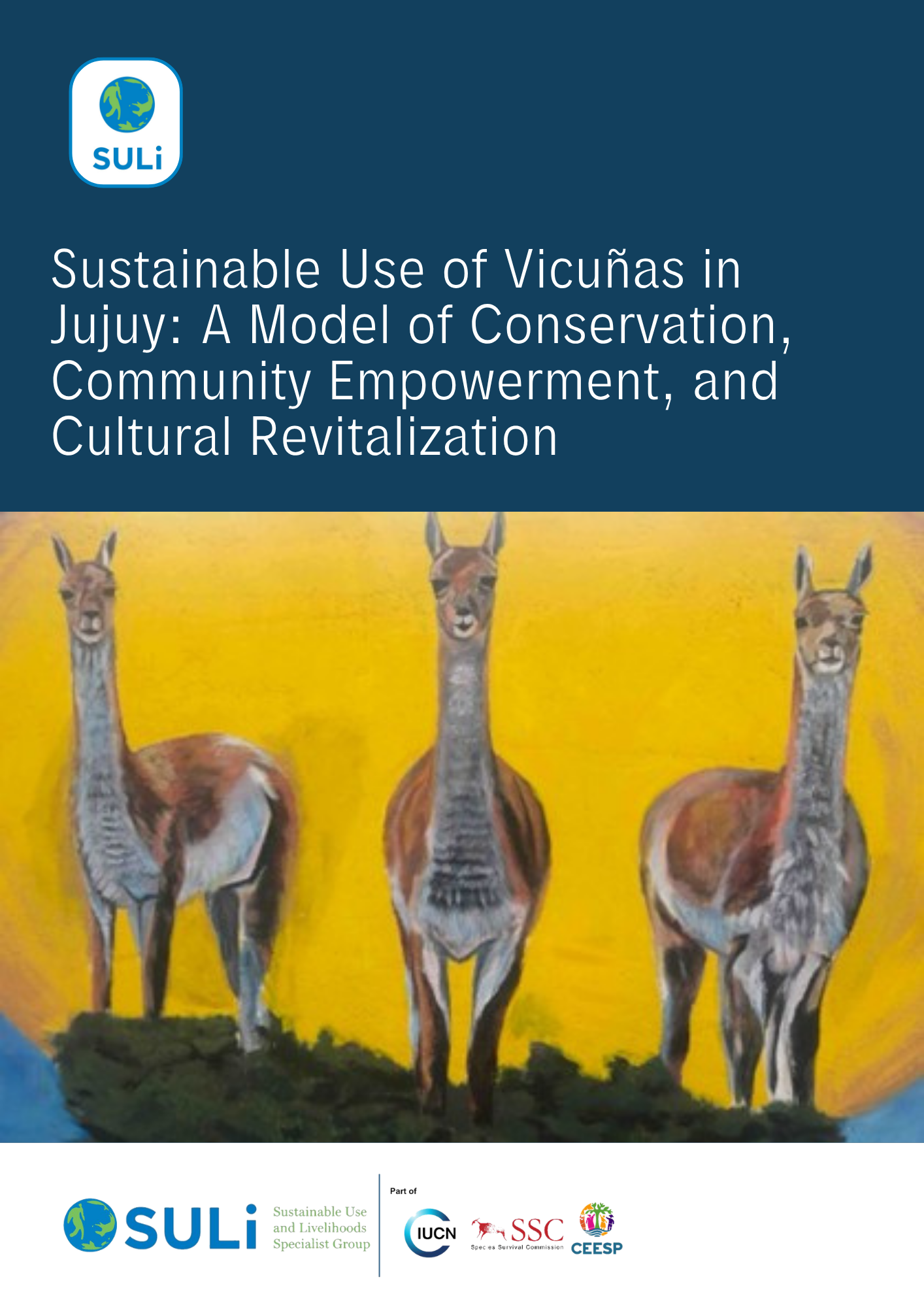 Locally-Led Sustainable Use Case Study - Vicuñas in Argentina 