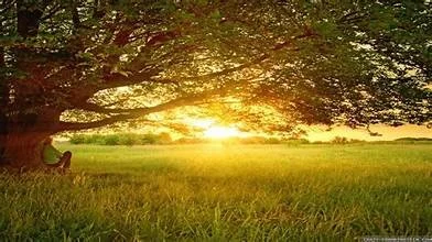 The Day I Am Going To Die