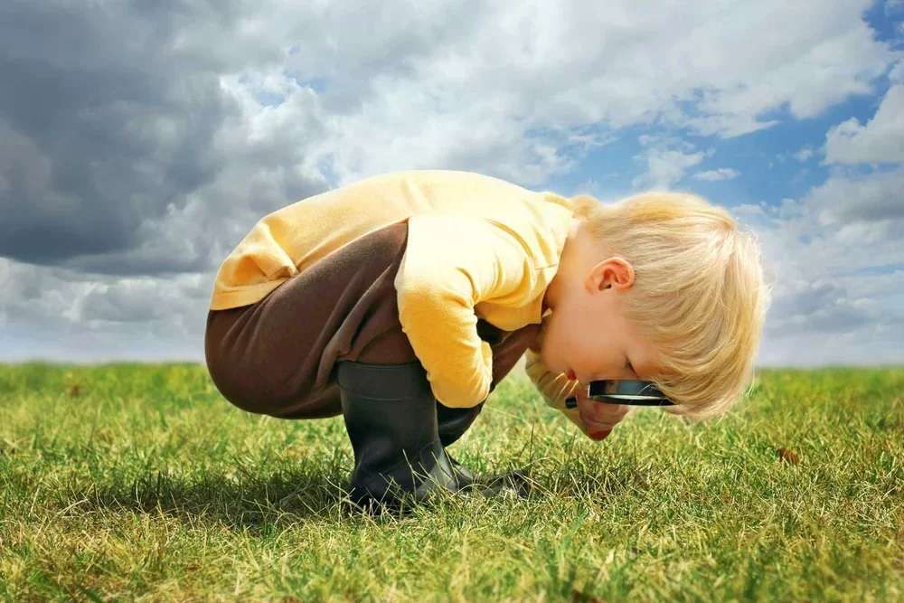 The Importance of Curiosity at Any Age