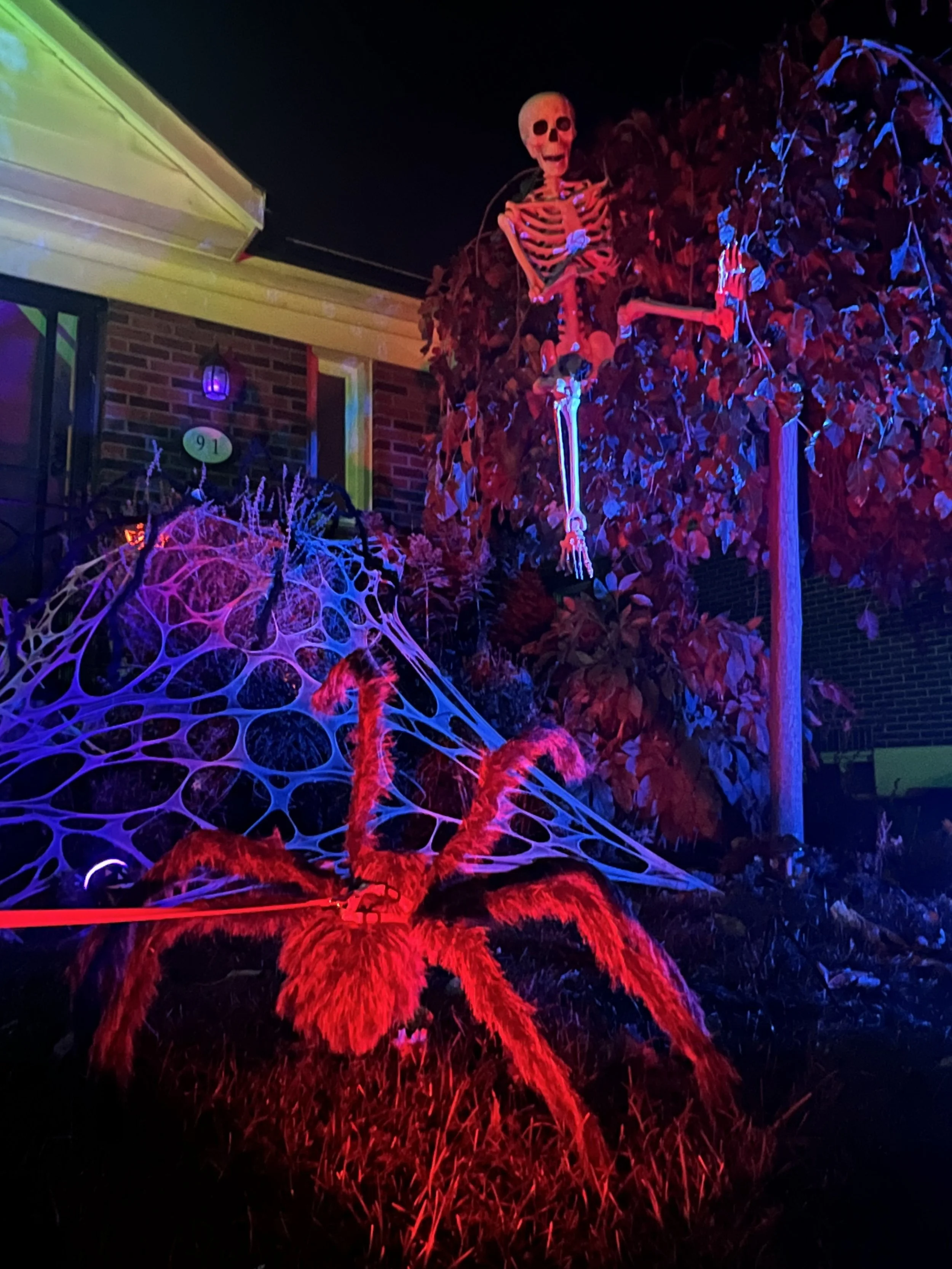IMG_0716.jpg