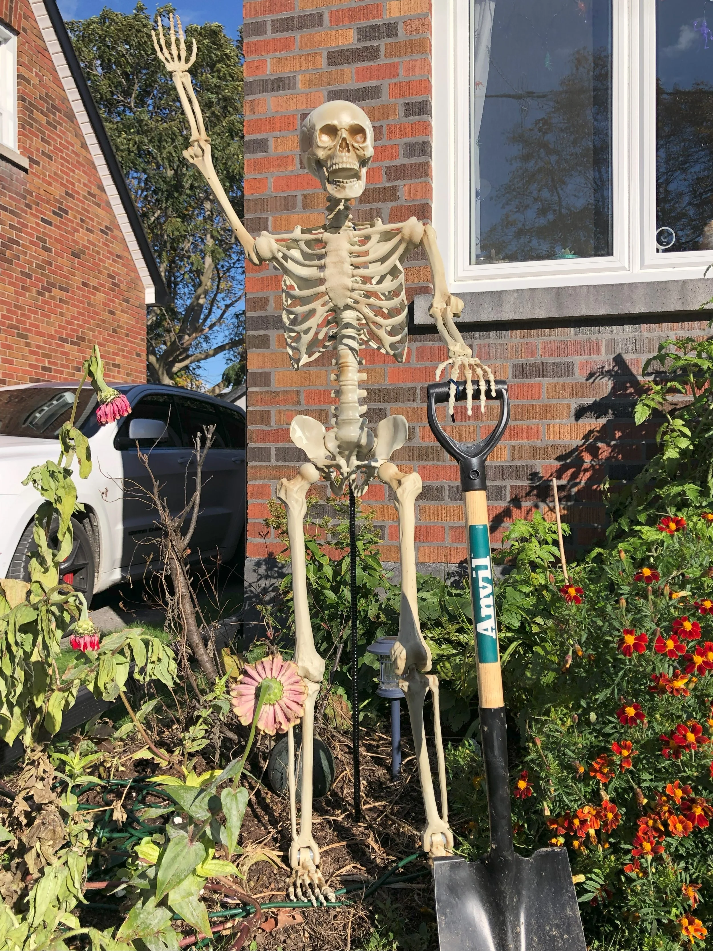 IMG_0806.jpeg