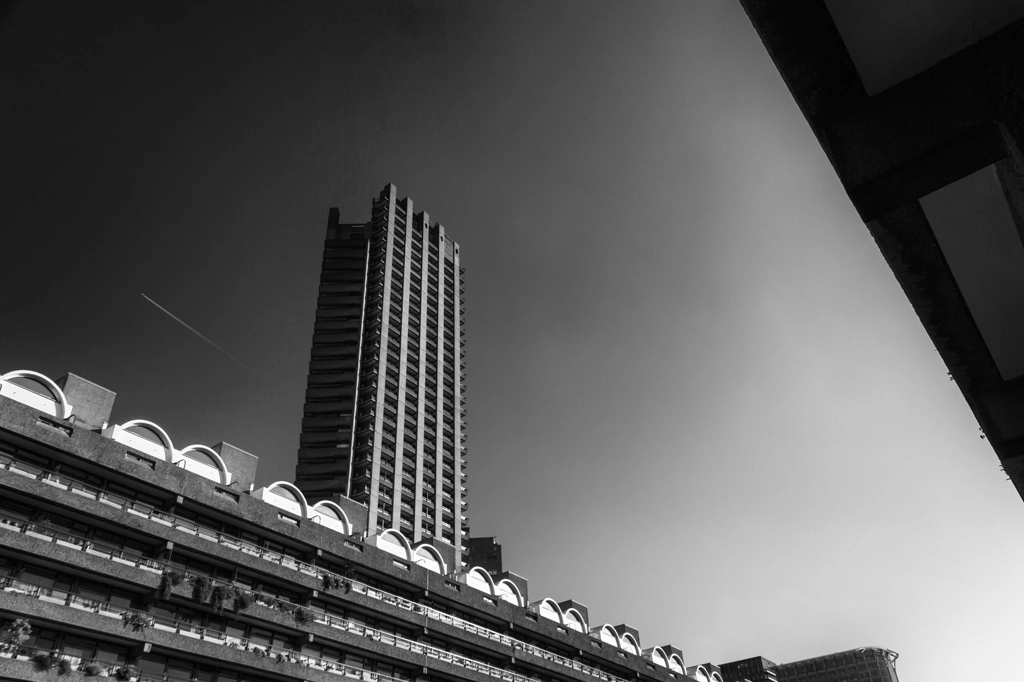 IMG_4687.jpg
