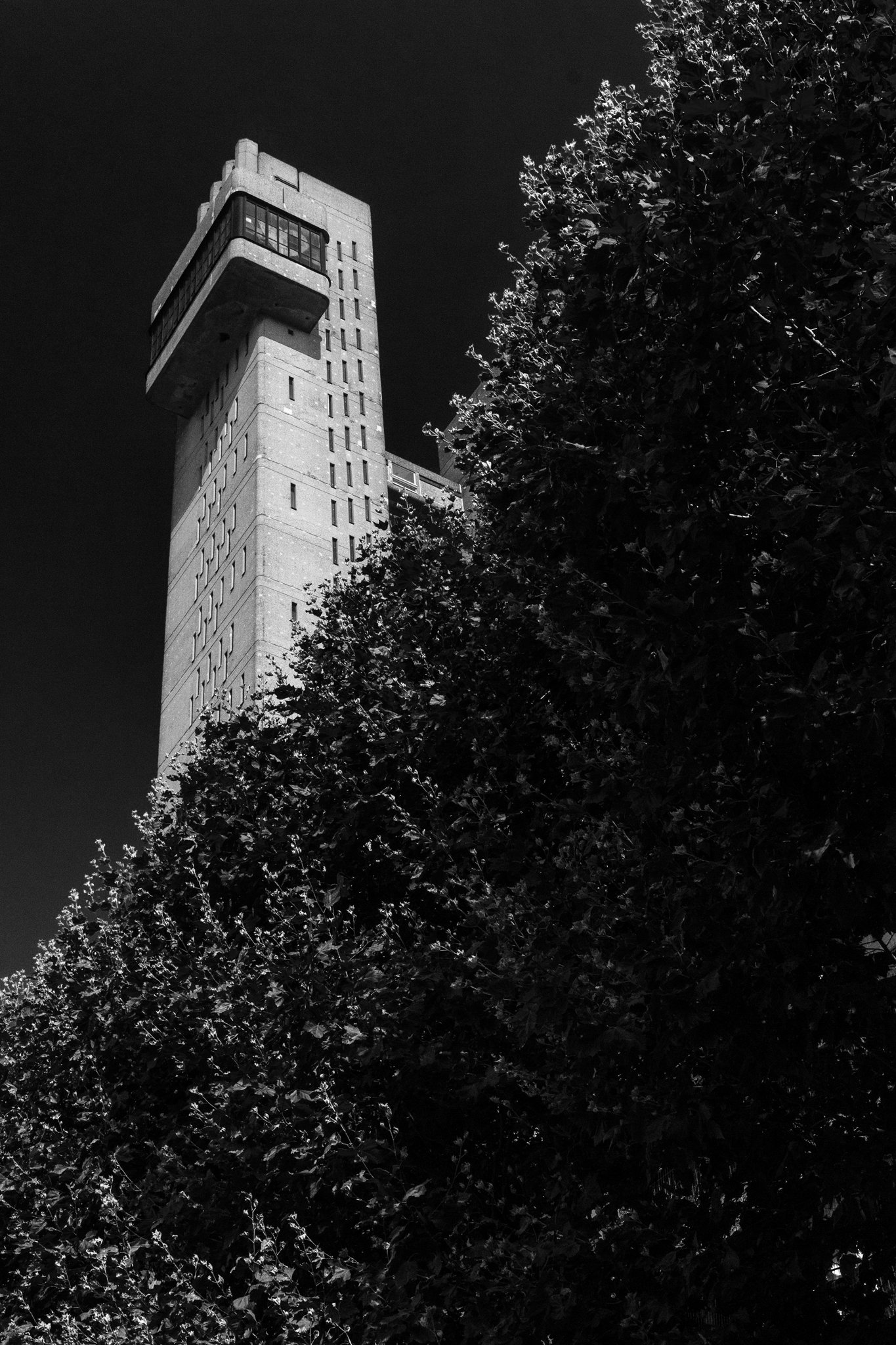 IMG_7433.jpg