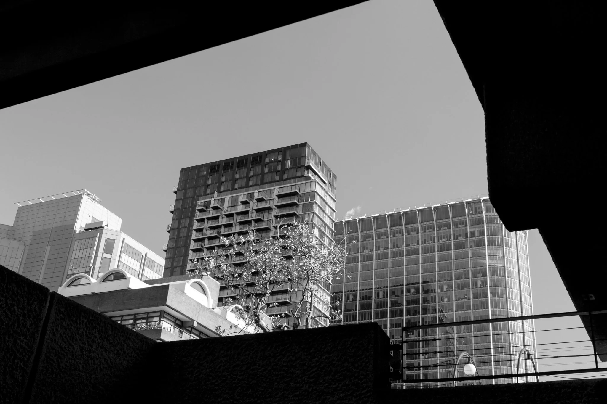 IMG_4798.jpg