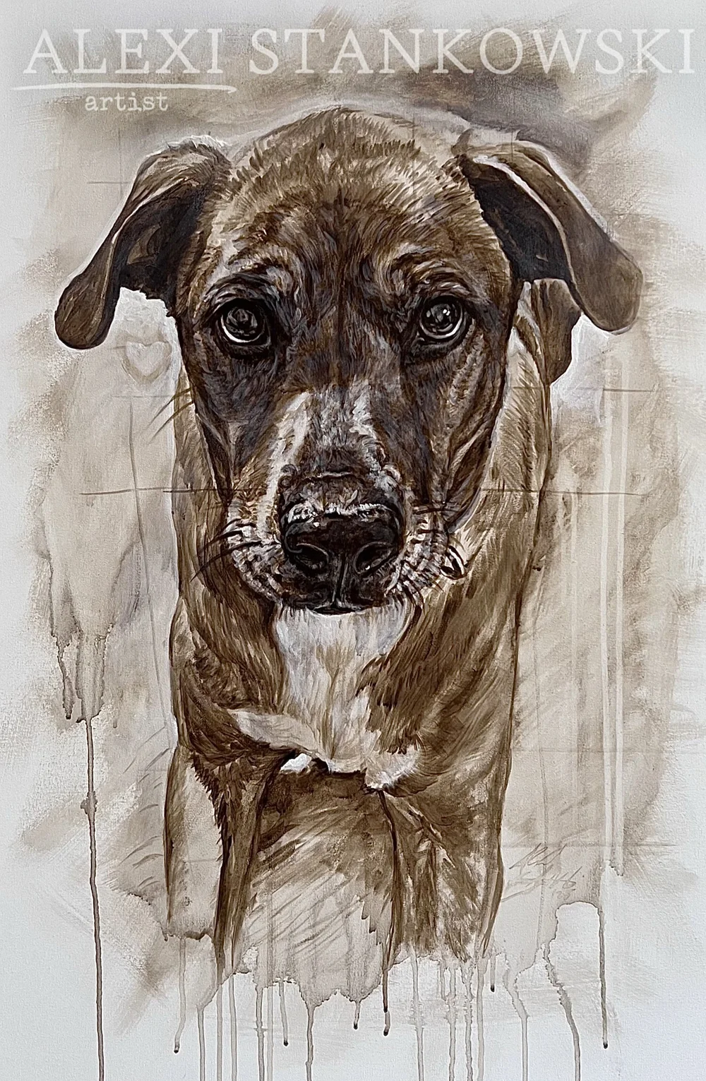 Labrador portrait
