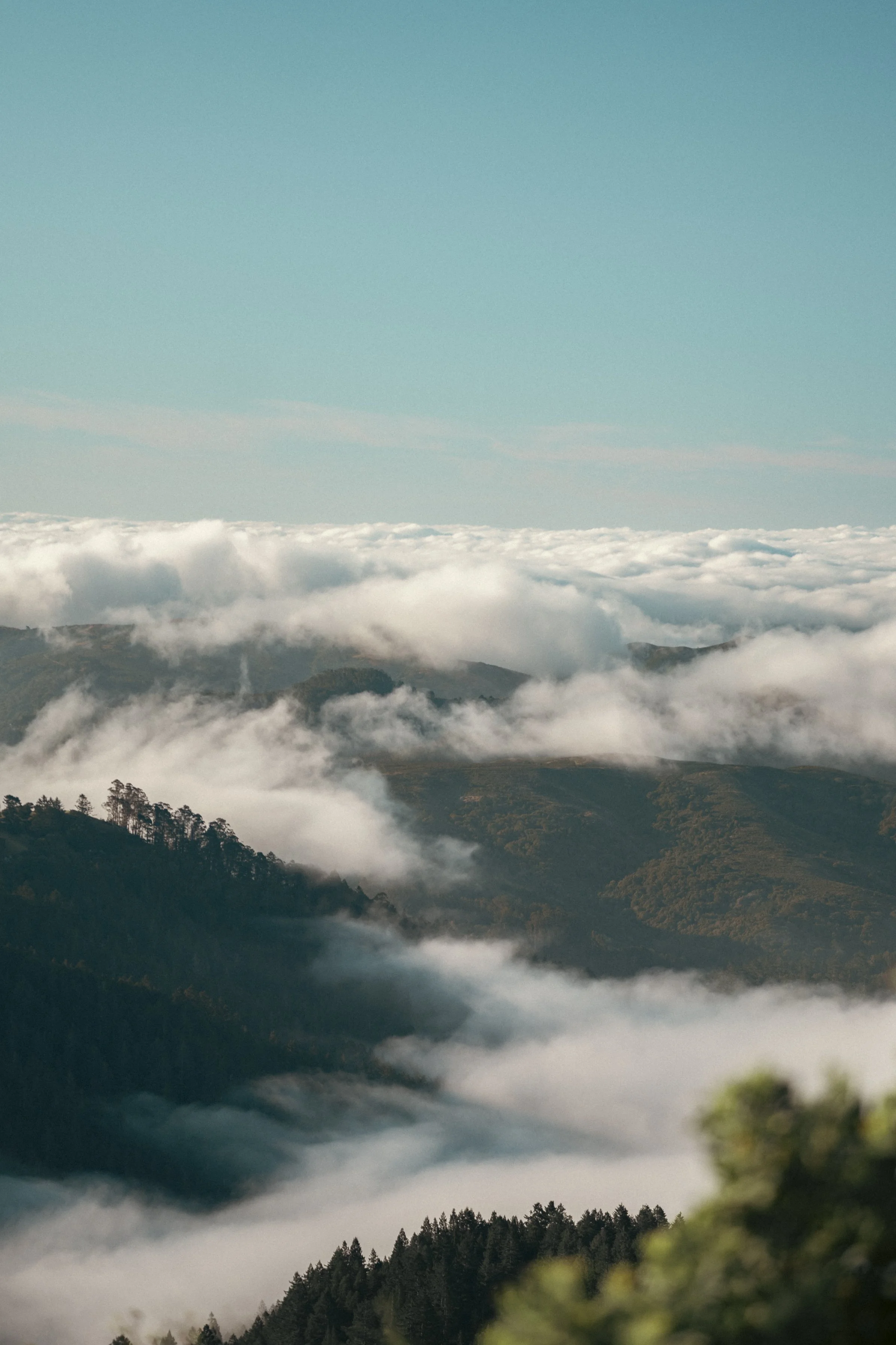 tam_sfrc_may_13_26_62.jpg