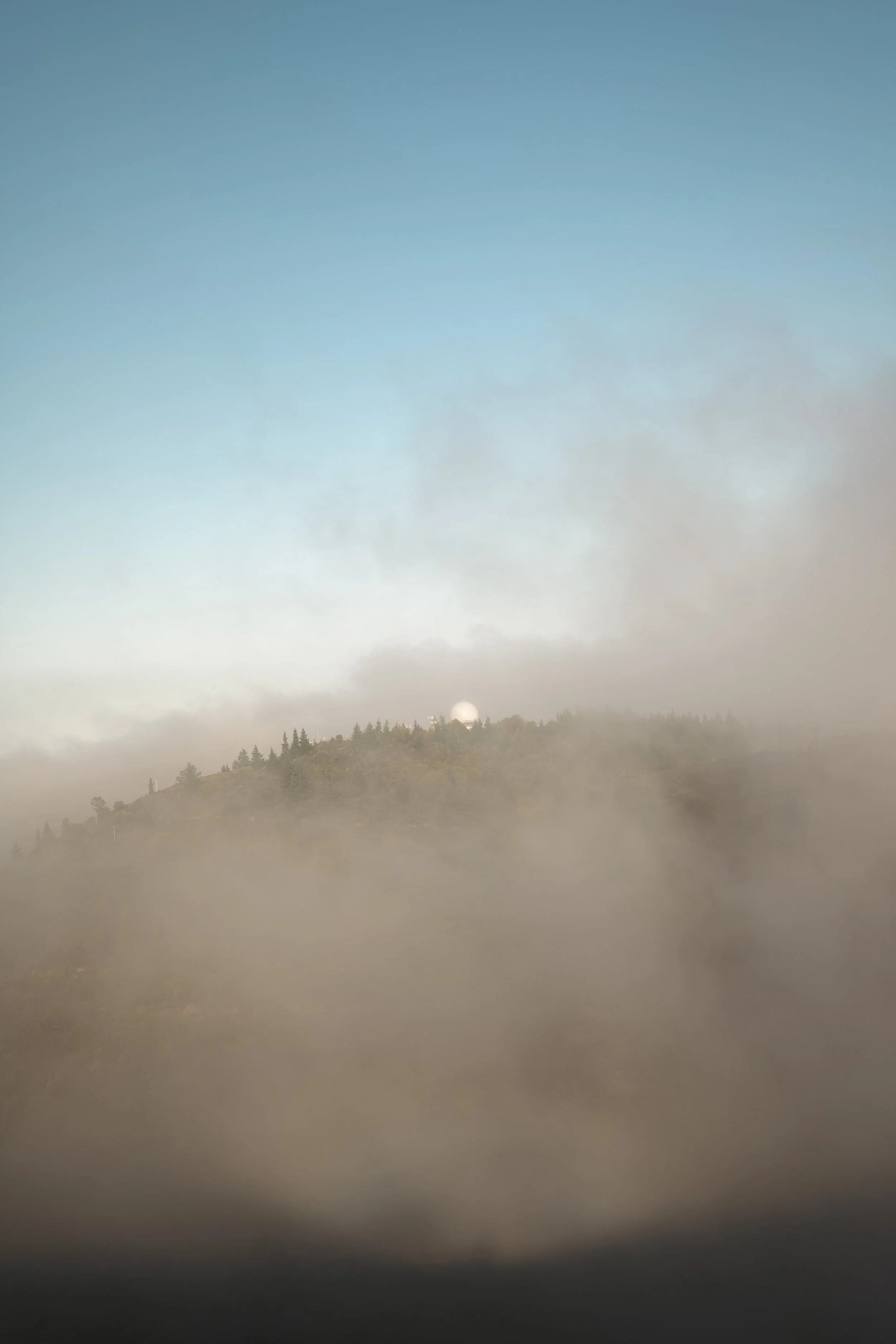 tam_sfrc_may_13_26_59.jpg