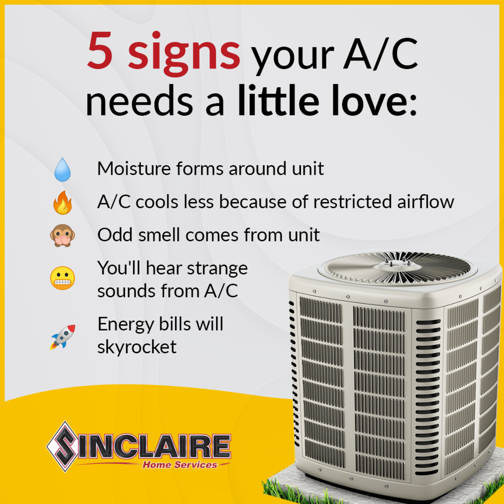 SINC_080220.png