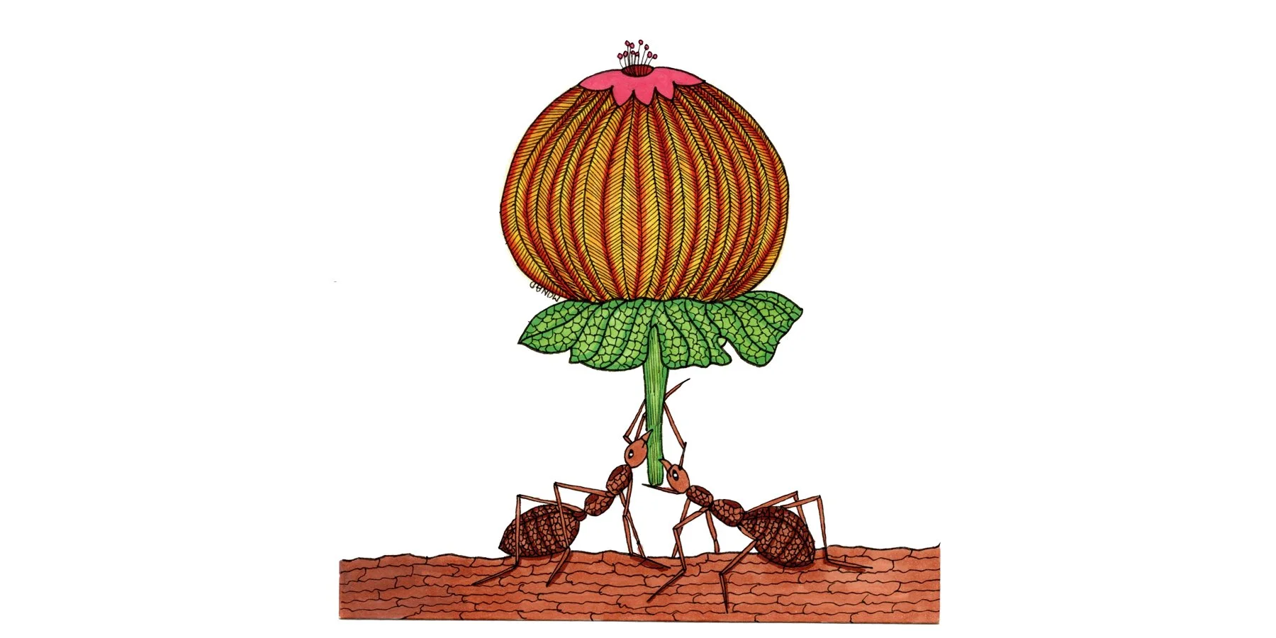 Unity - 2 Ants-1.jpg