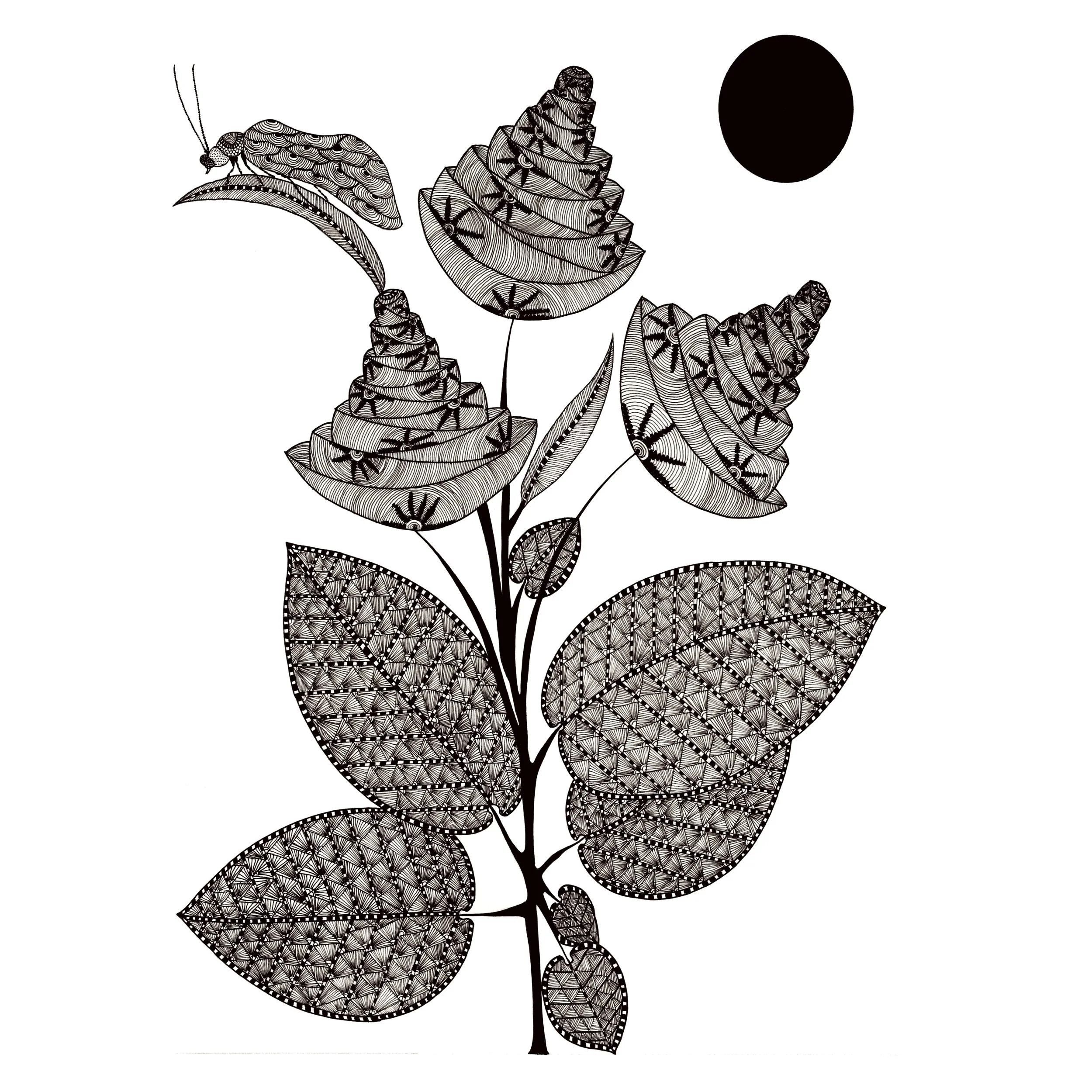 Flower 2.jpg