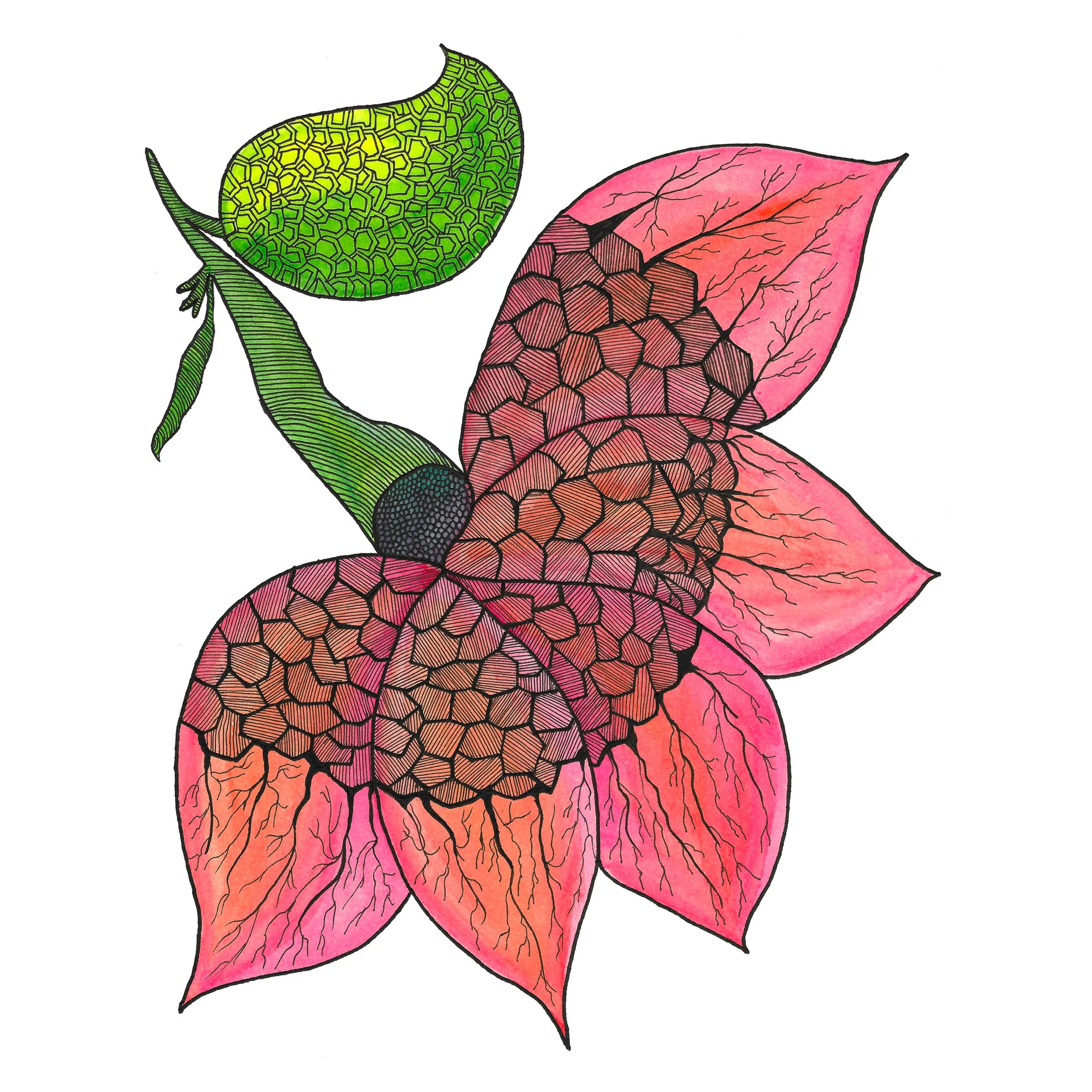 Flower with leaf.jpg