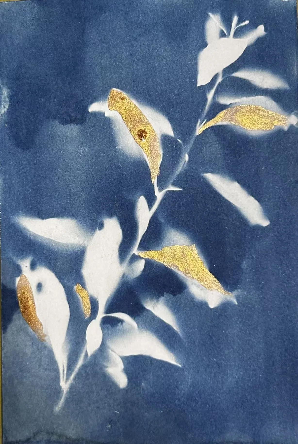 Visual Works/Cyanotype