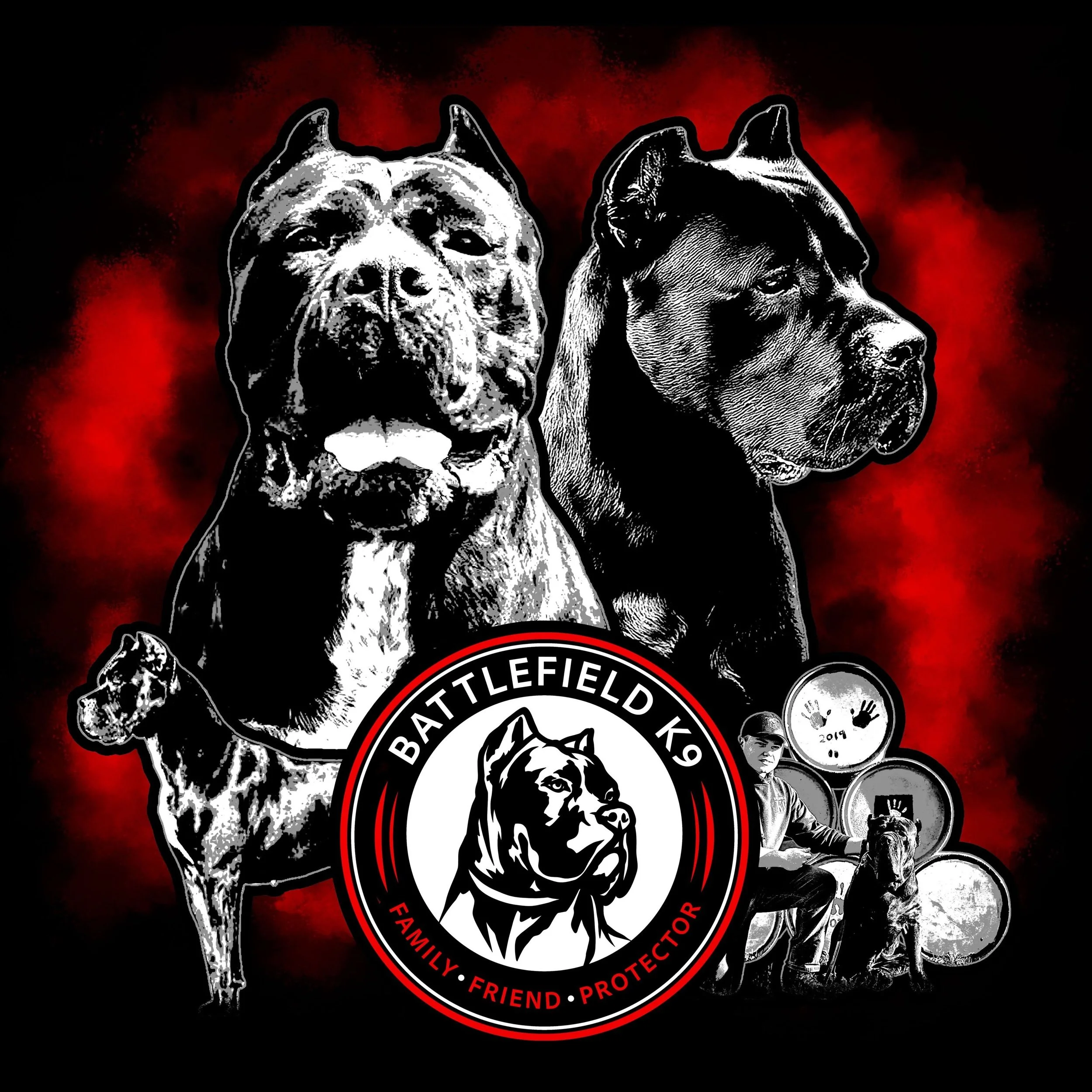 BATTLEFIELD K9