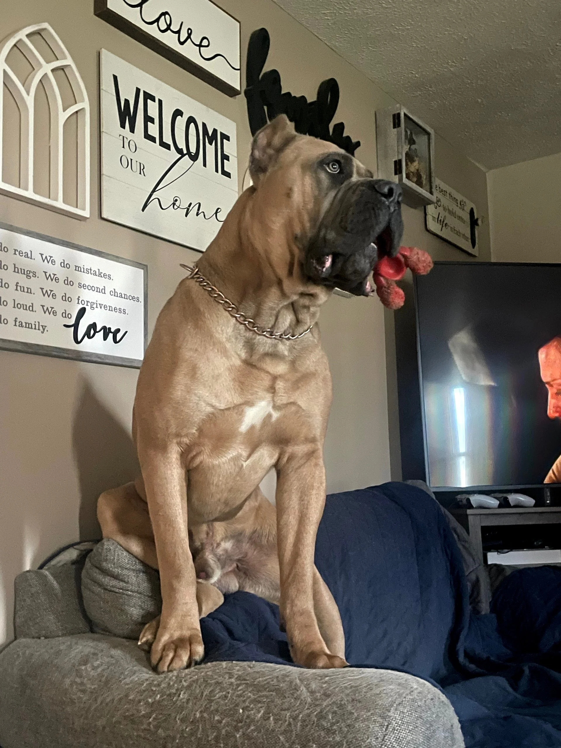 Resized_IMG_7881.jpeg