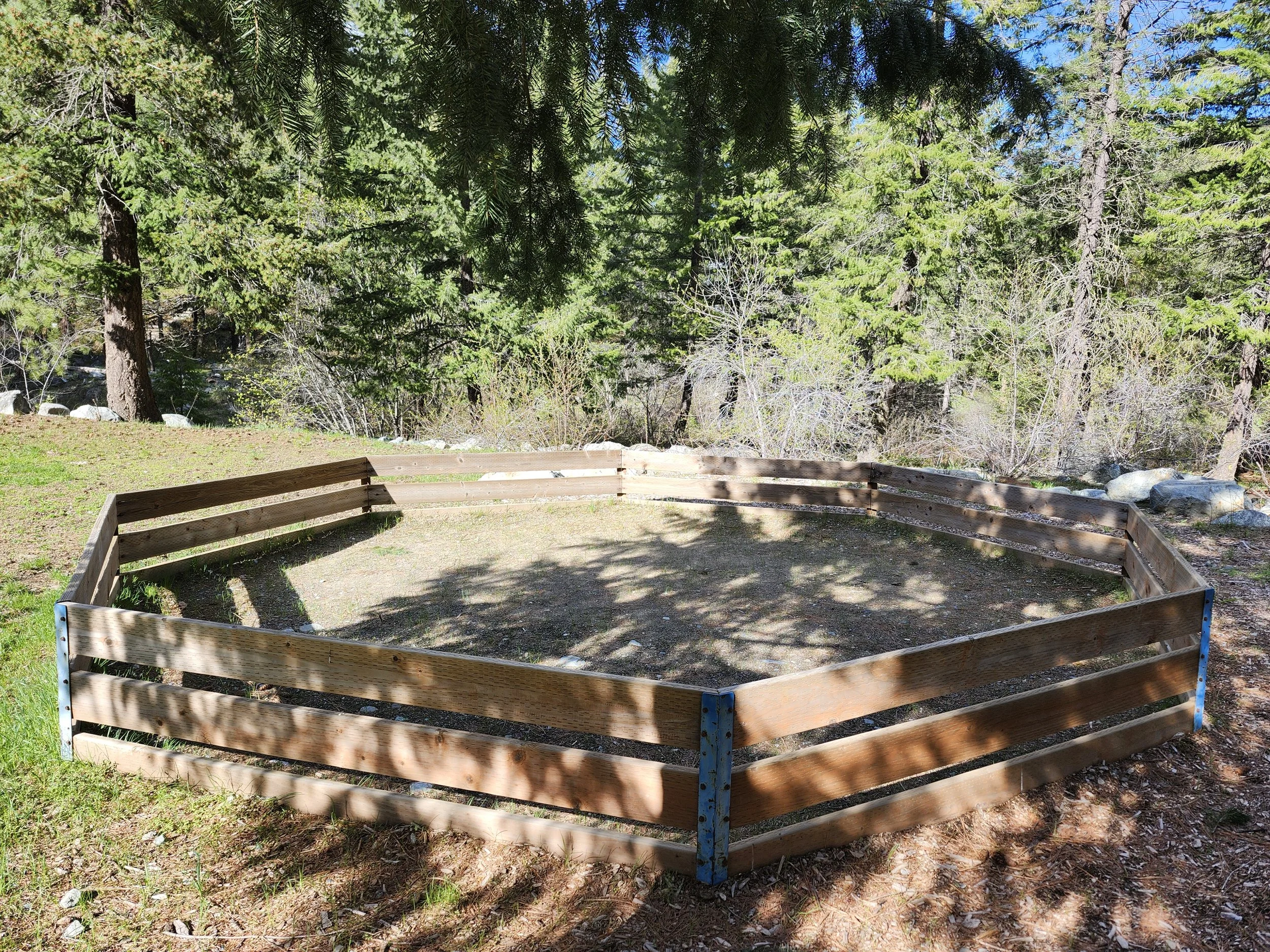 gaga ball!