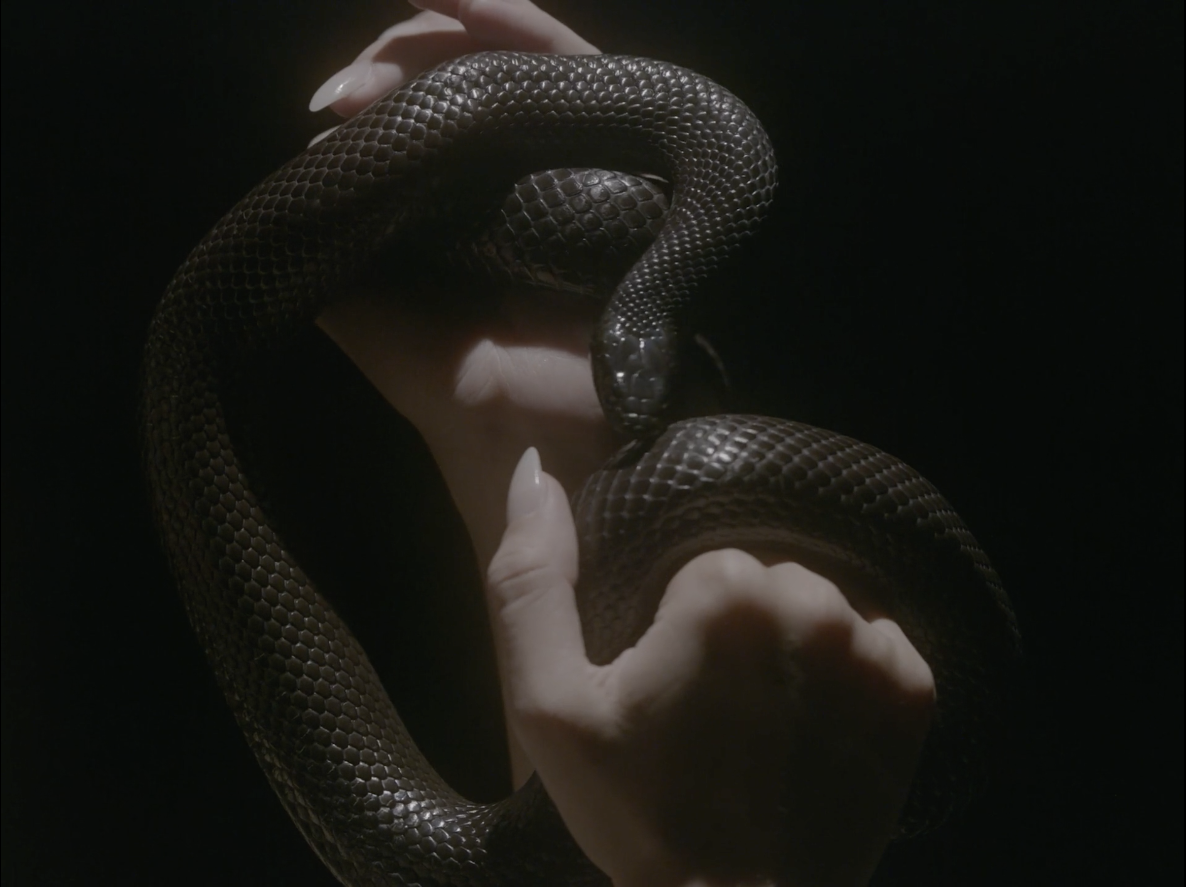 I'll Wait | Justice Mirabal