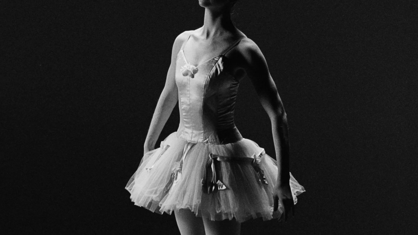 default_1.1.23 2.jpg