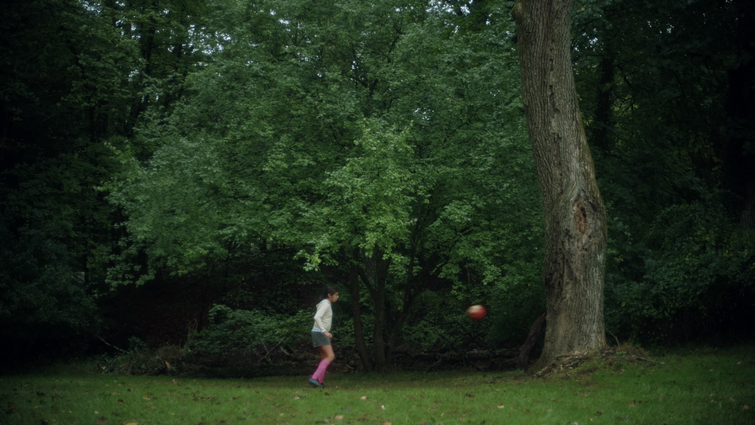 Screen Shot 2022-10-02 at 7.30.22 PM.png