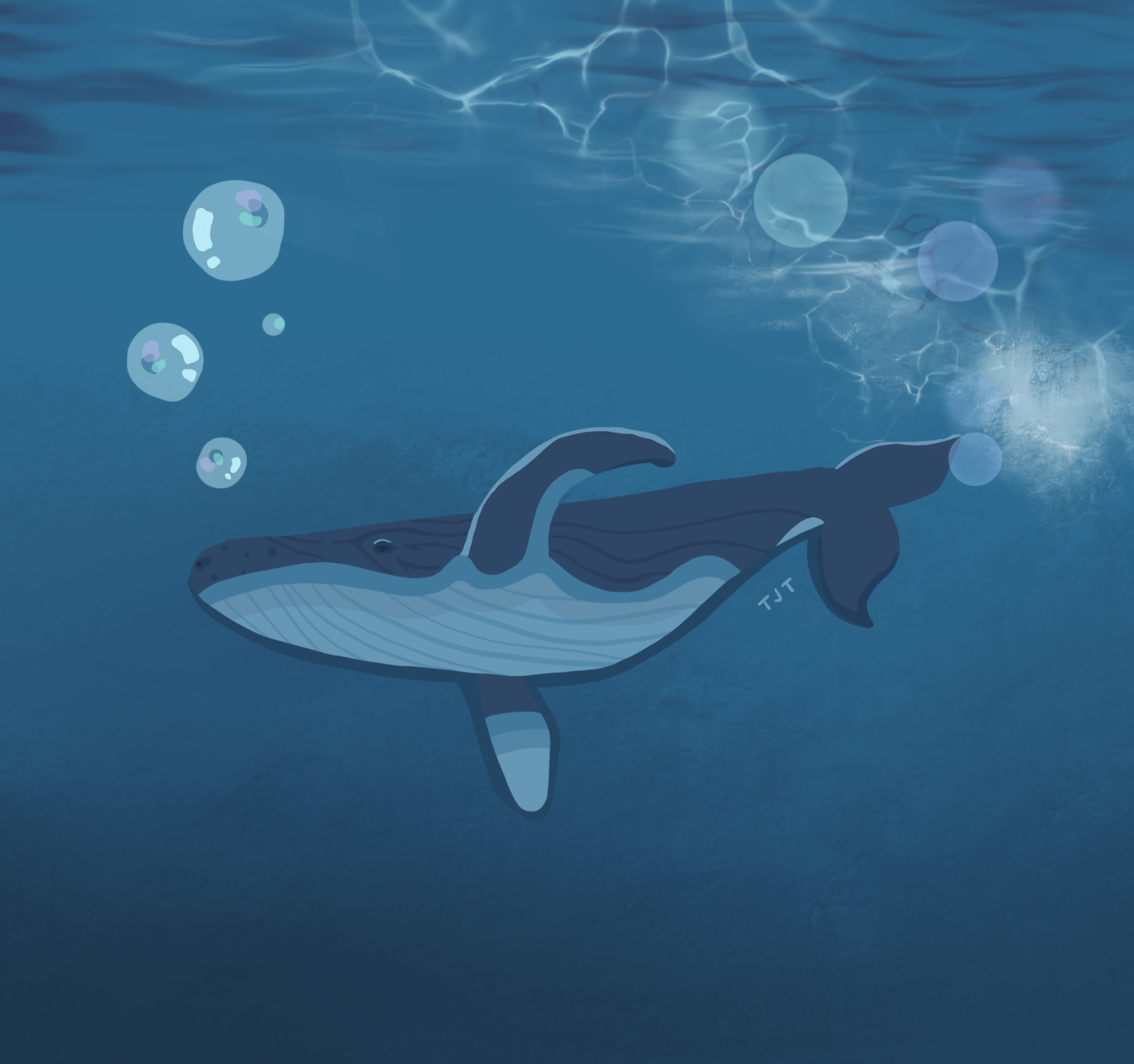calm_whale_scene.png