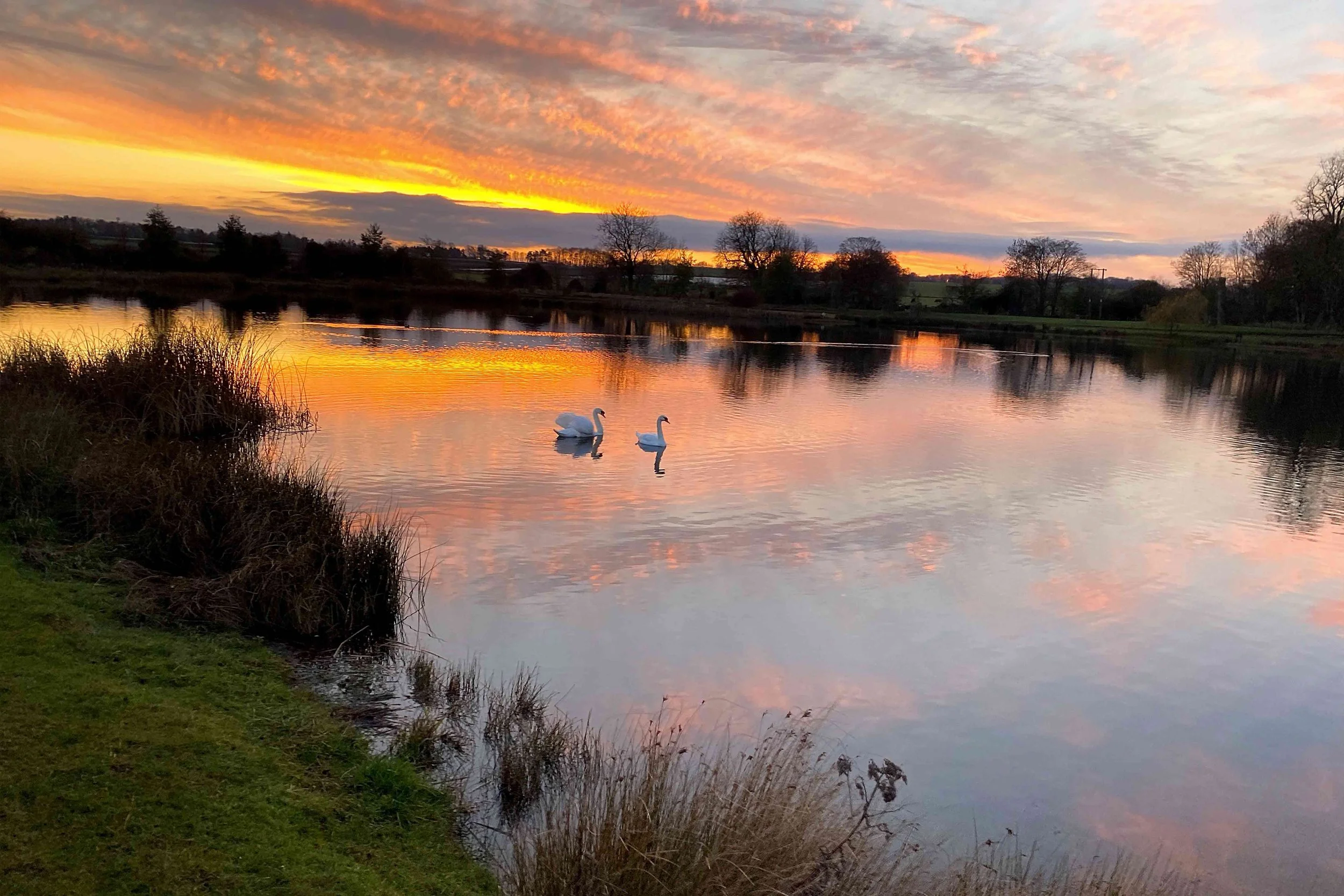 An image of the lake near the Nest at sunset. Two swans swim across the rippling water