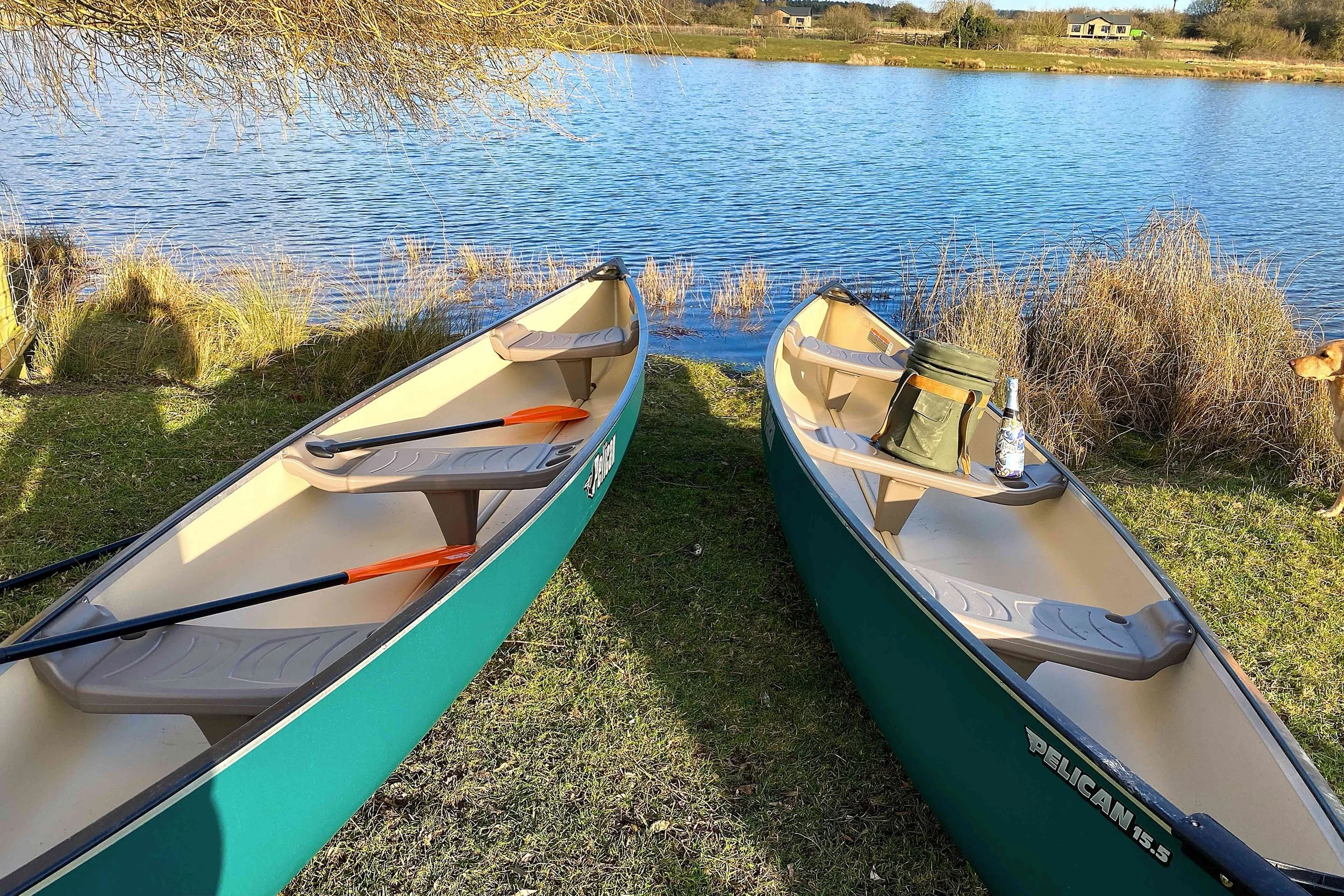 An image of two Nest kayaks on the edge of a lake