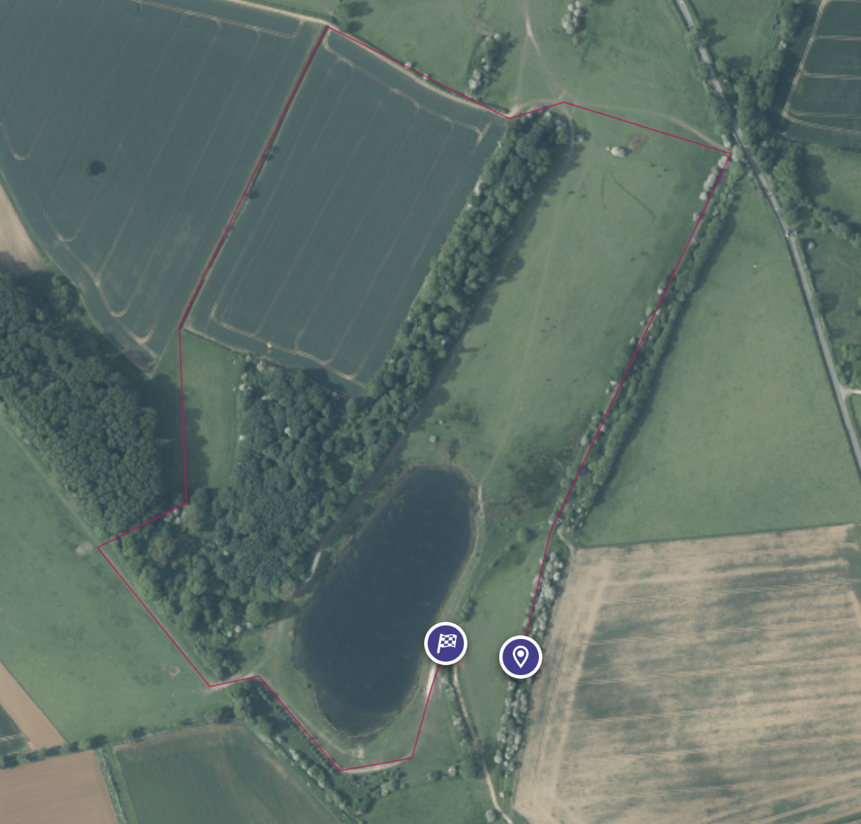 A satellite image of a walk to do around the Nest. The walks are denoted by red lines with start/end point icons